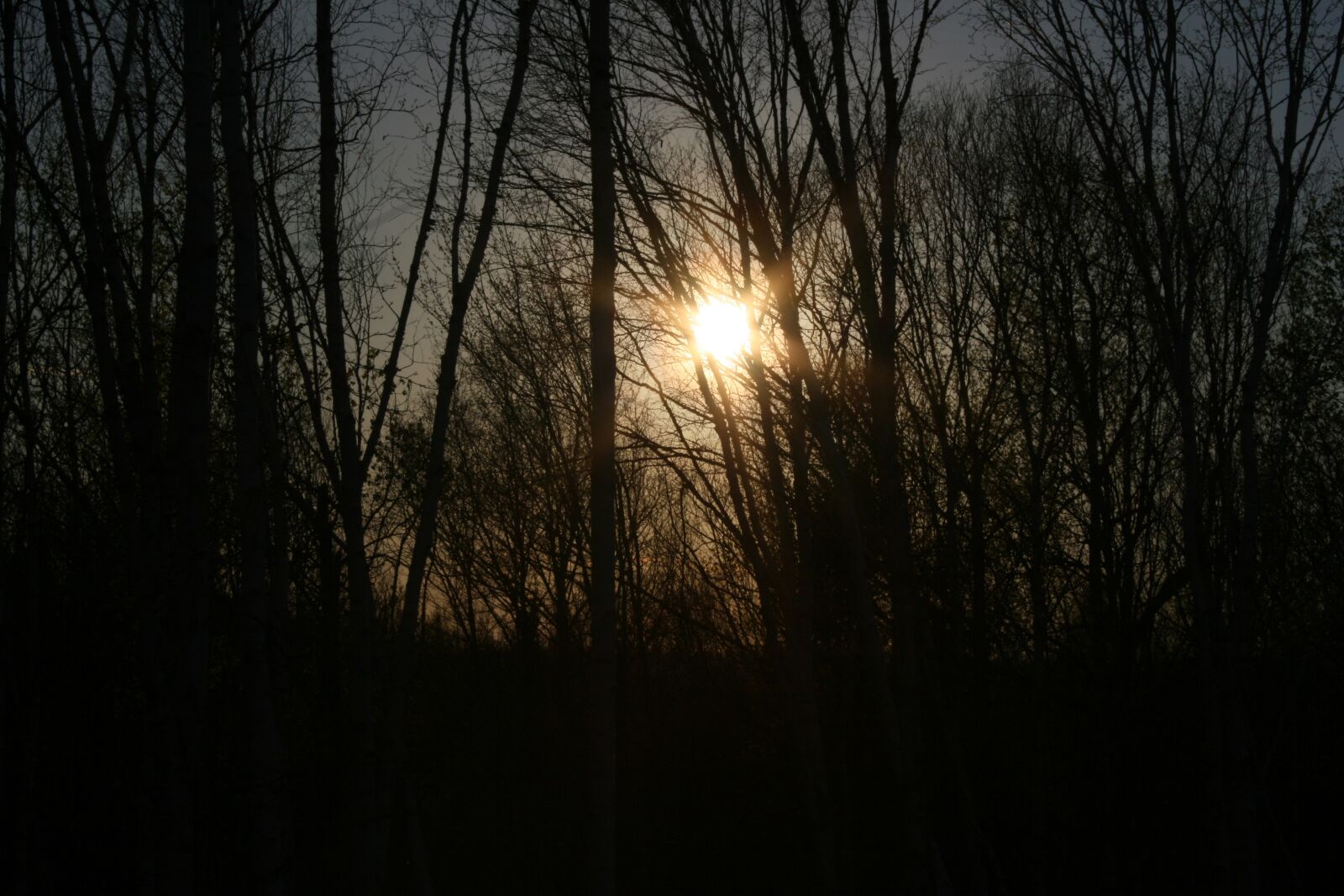 Canon EOS 400D (EOS Digital Rebel XTi / EOS Kiss Digital X) sample photo. Sunset, lake, spring photography