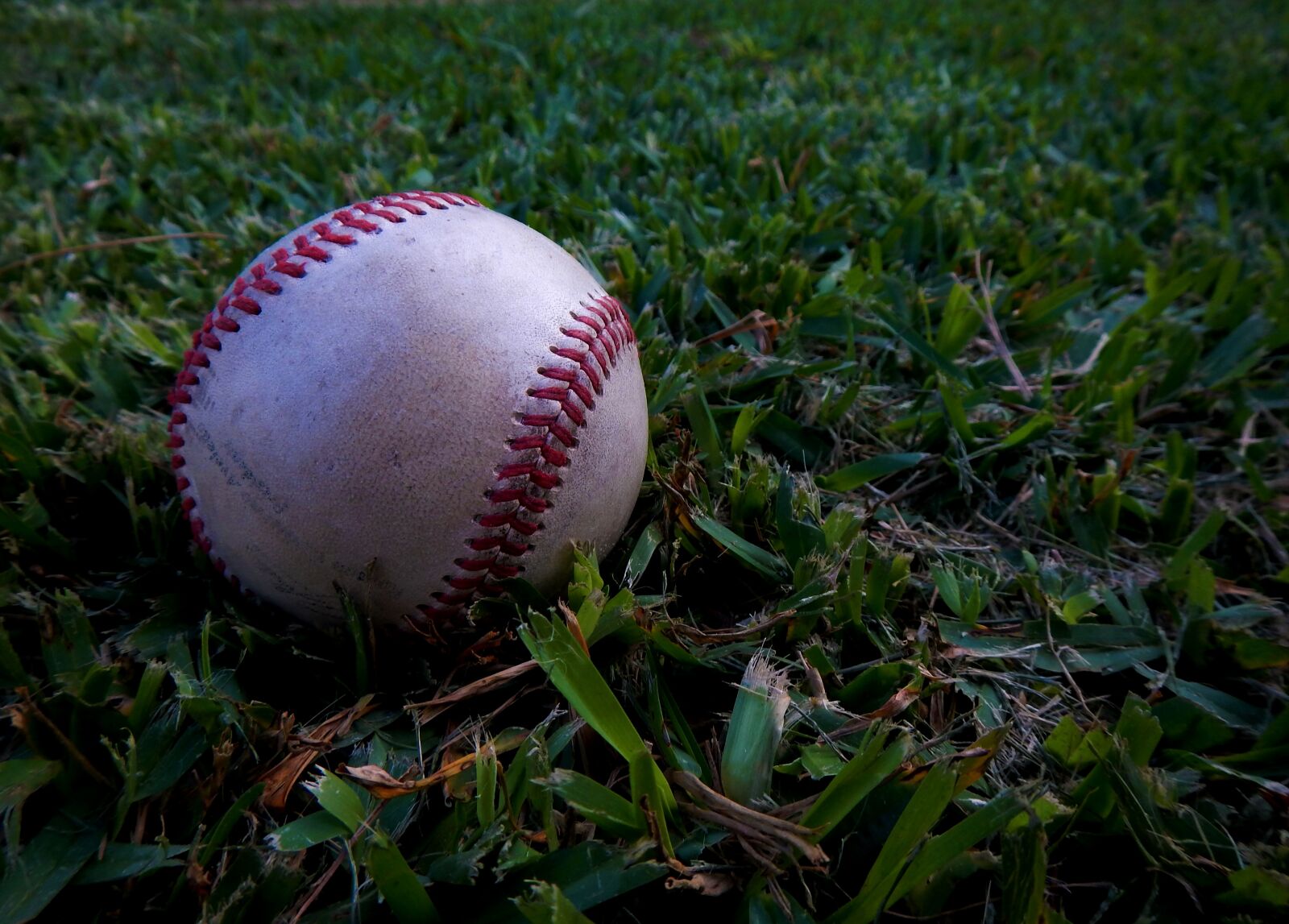 Nikon Coolpix AW110 sample photo. Baseball, ball, sport photography