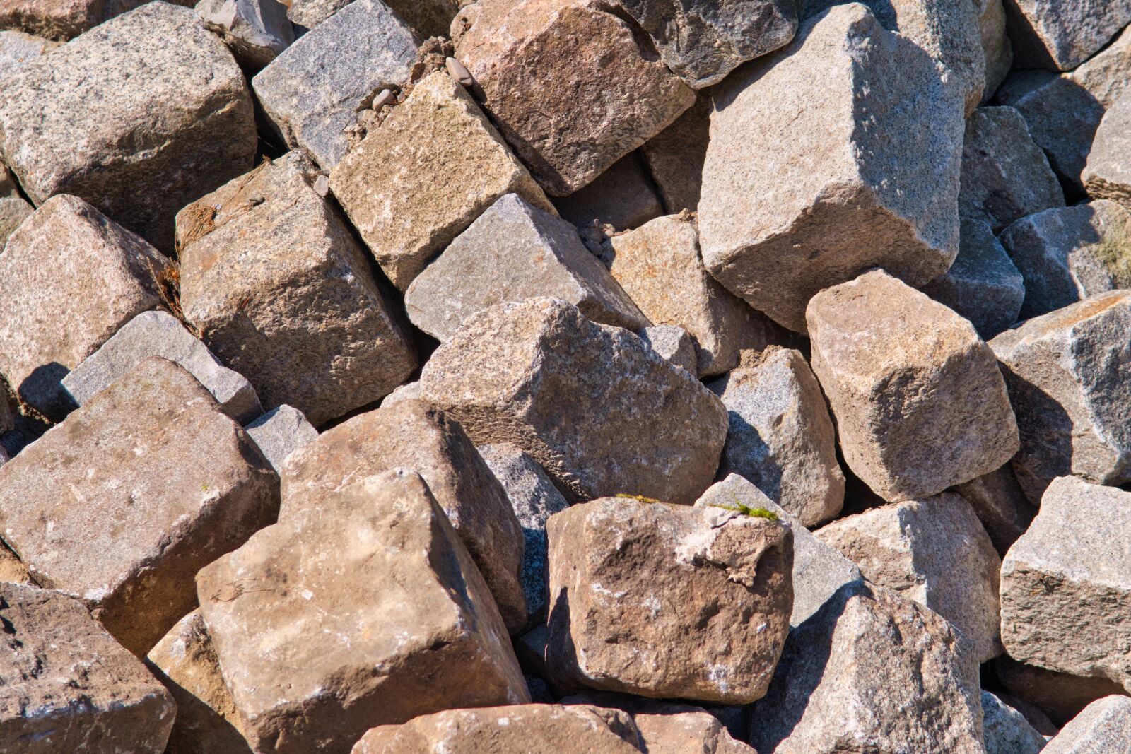 Nikon D7500 sample photo. Paving stones, stones, patch photography