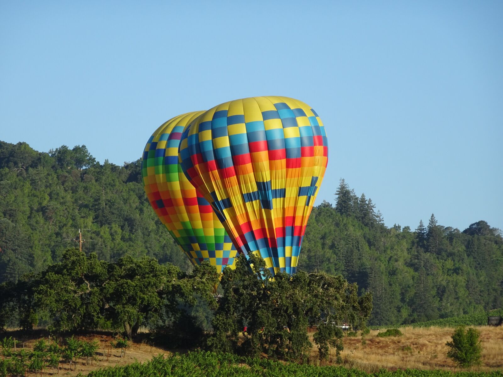 Sony Cyber-shot DSC-HX90V sample photo. Hot air balloon, napa photography