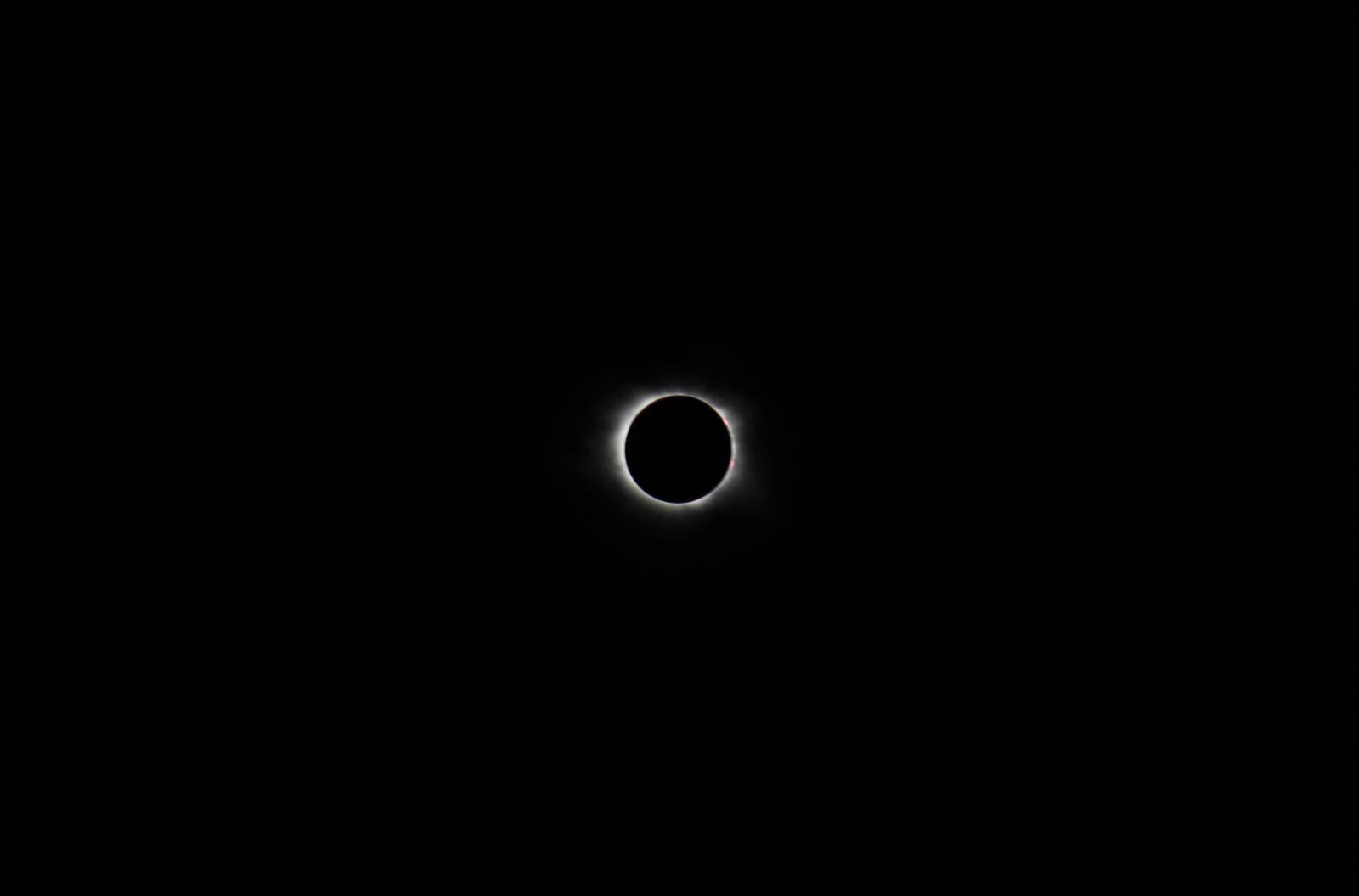 Canon EOS 550D (EOS Rebel T2i / EOS Kiss X4) sample photo. Eclipse, solar eclipse, corona photography