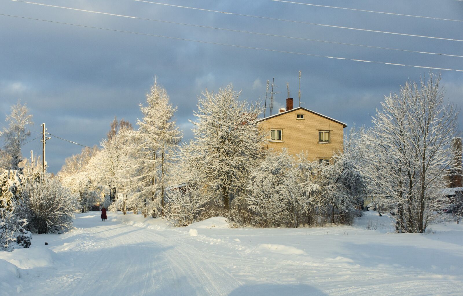 Canon PowerShot G1 X Mark II sample photo. Winter, snow, white photography
