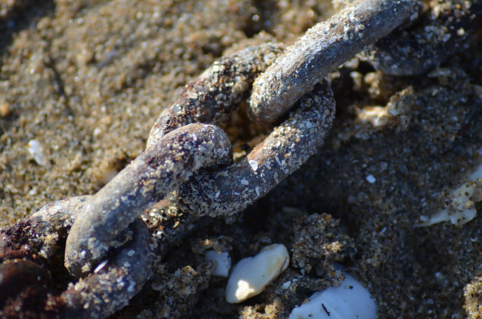 Nikon D5100 sample photo. Link, string, anchor photography
