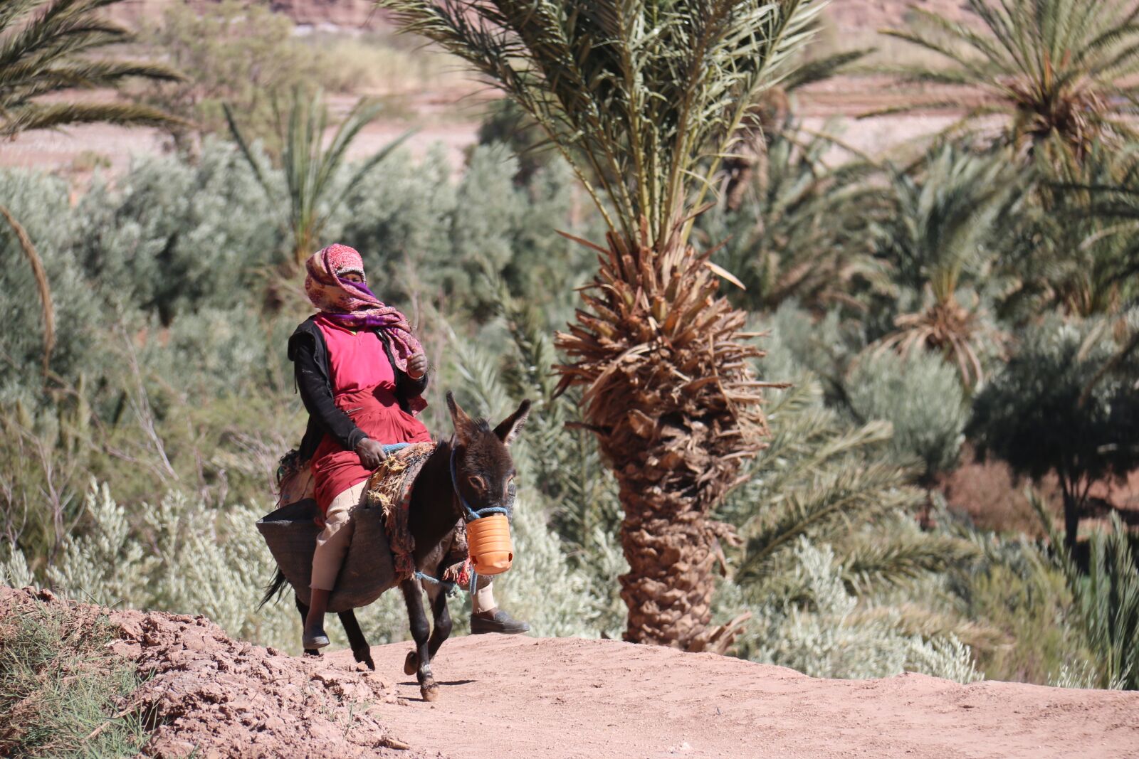 Canon EOS 70D sample photo. Nature, outdoors, desert photography