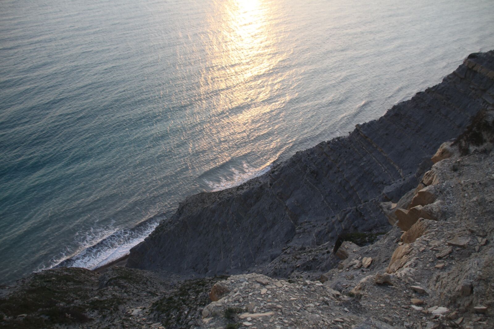 Canon EOS 50D sample photo. Beach, flowers, rocks photography