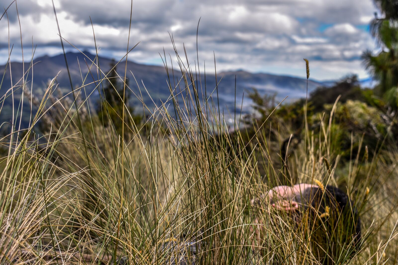 Nikon D3400 sample photo. Pasochoa, landscape, horizon photography