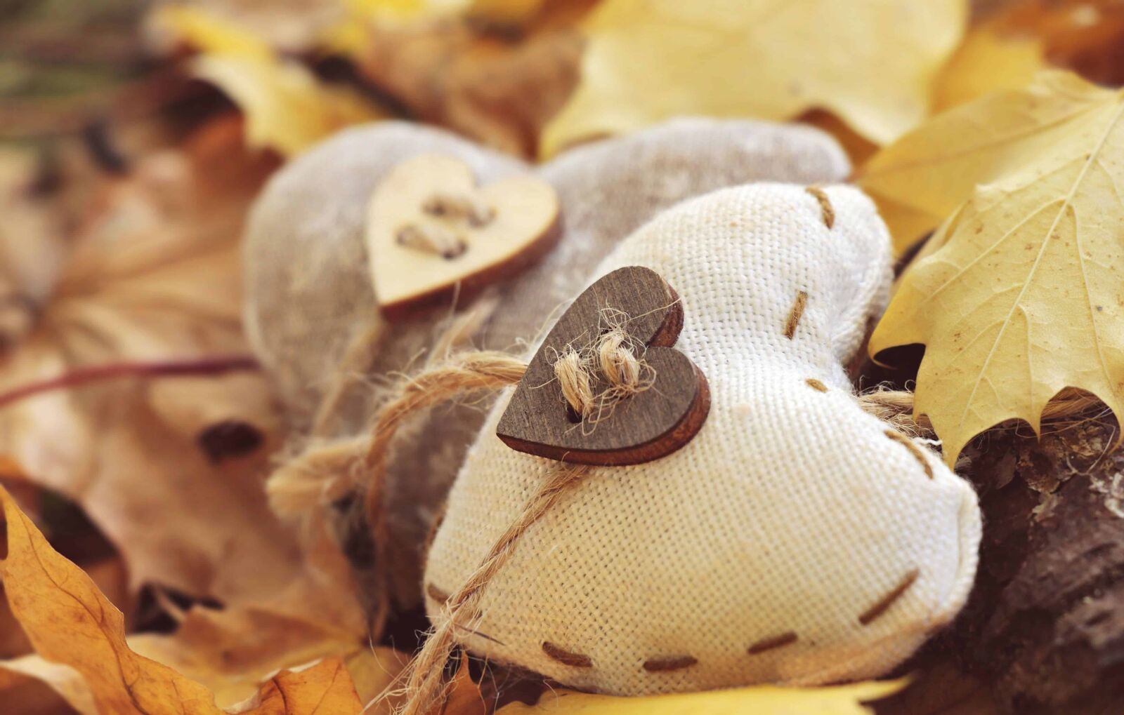 Canon EOS 100D (EOS Rebel SL1 / EOS Kiss X7) sample photo. Rope, fabric, heart, still photography