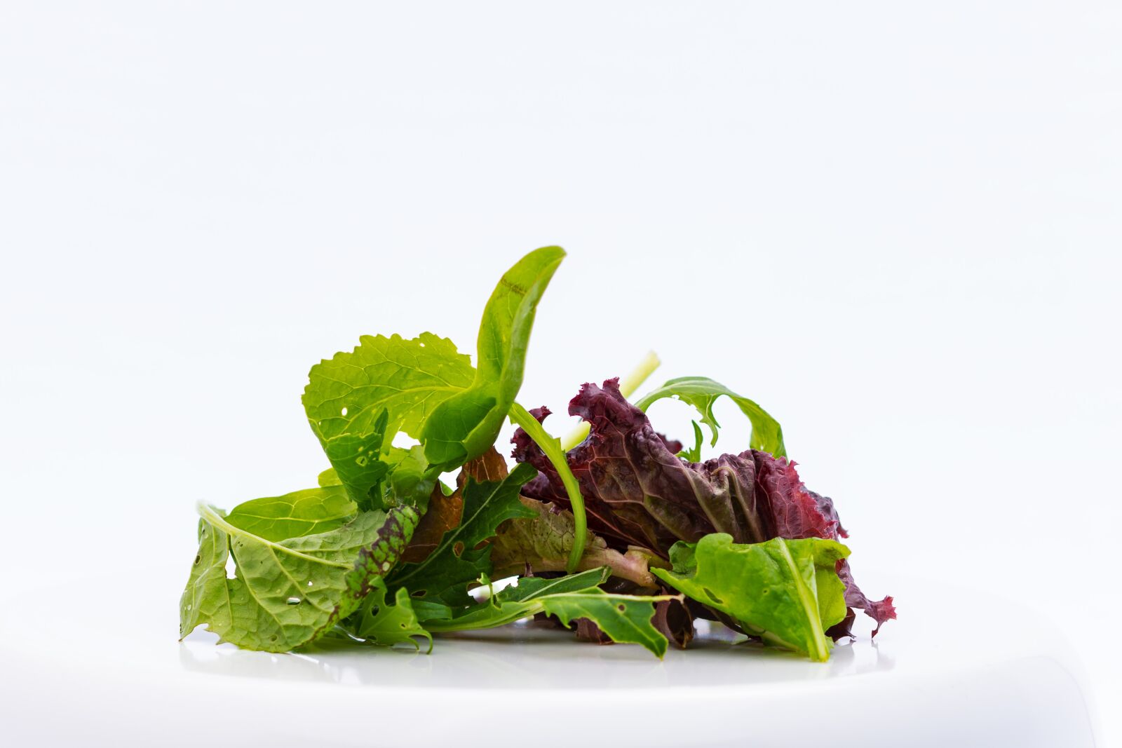 Nikon D7200 sample photo. Salad, green, nature photography