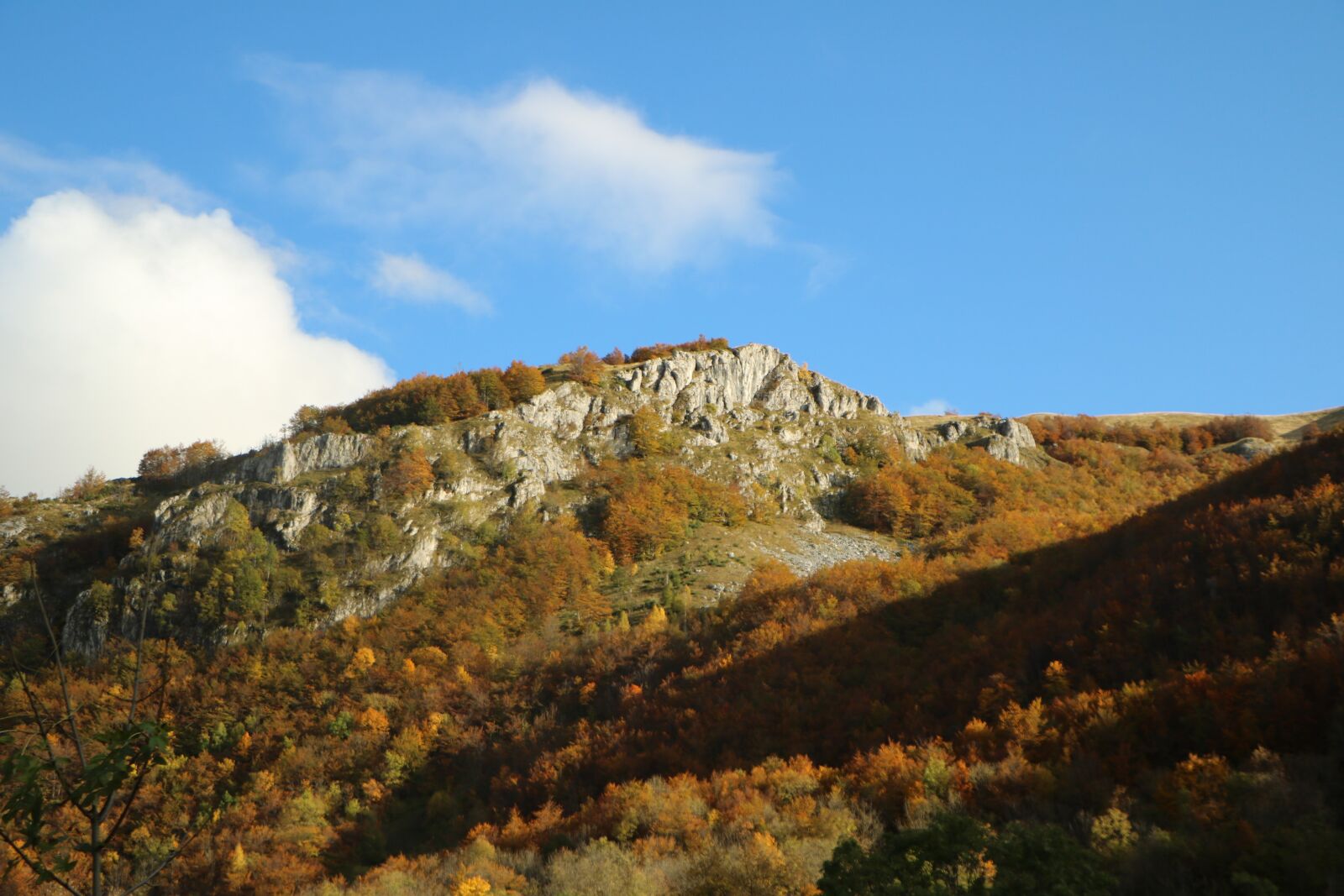 Canon EOS 760D (EOS Rebel T6s / EOS 8000D) sample photo. Fall, mountain, autumn photography