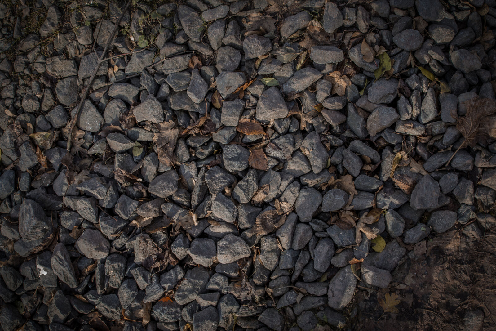 Canon EOS 600D (Rebel EOS T3i / EOS Kiss X5) + Canon EF-S 17-55mm F2.8 IS USM sample photo. Autumn, leaf, gravel, grey photography