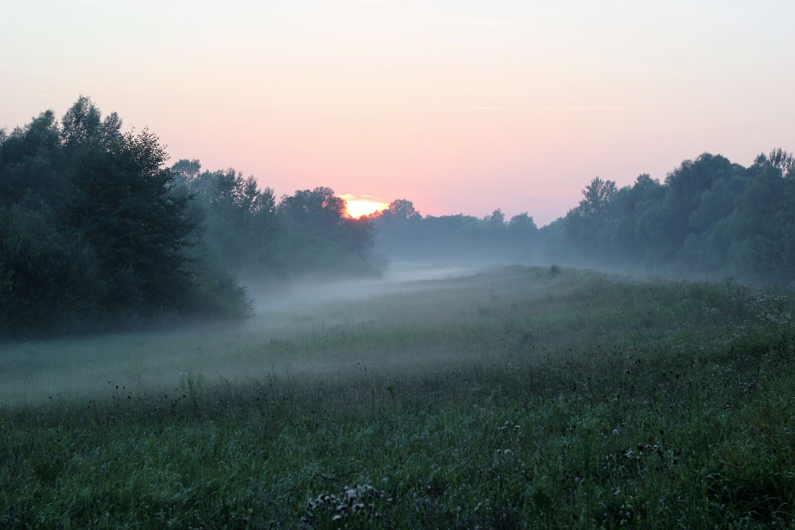 Canon EOS 550D (EOS Rebel T2i / EOS Kiss X4) sample photo. Nature, foggy, sunrise photography