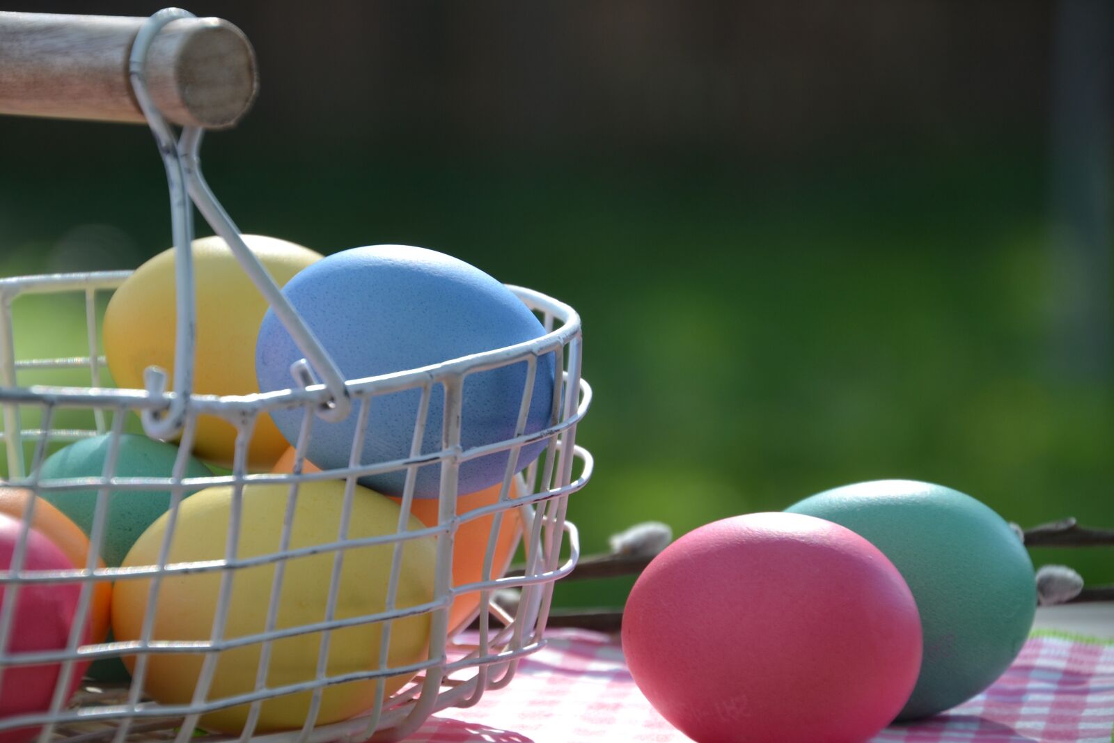 Nikon D3100 sample photo. Egg, easter egg, colored photography