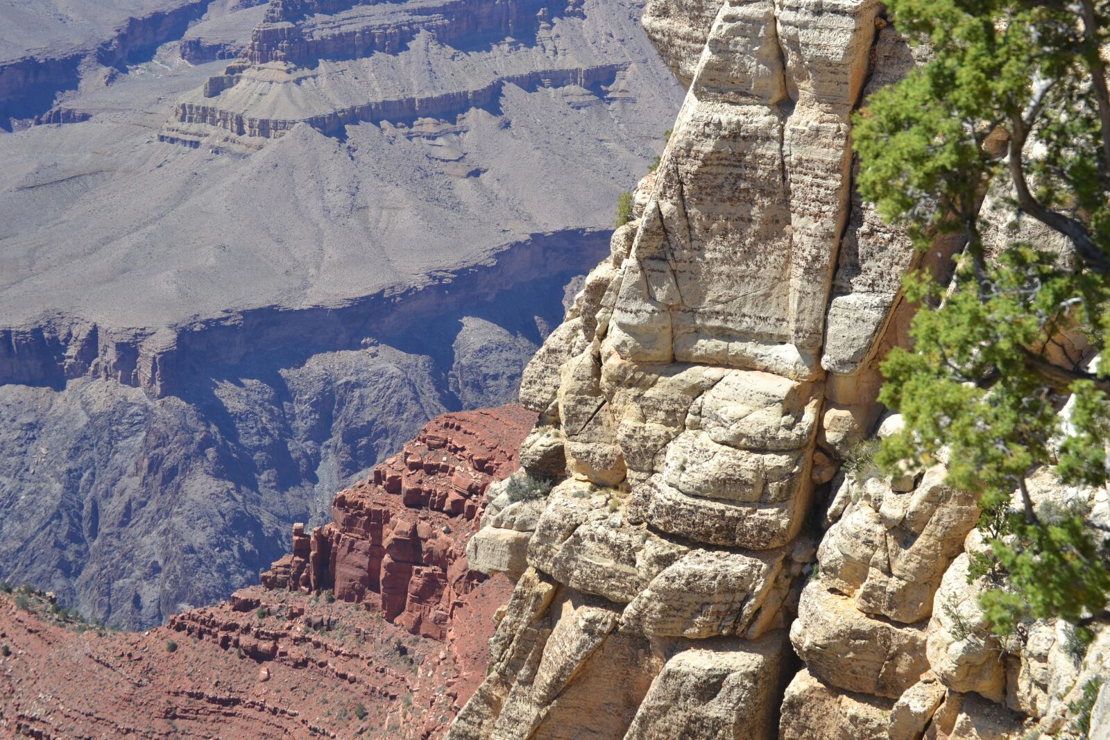 Nikon D3100 sample photo. Arizona, southern rim, grand photography