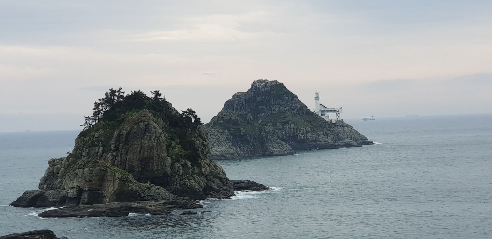 Samsung Galaxy S9+ sample photo. Korea, busan oryukdo, nature photography