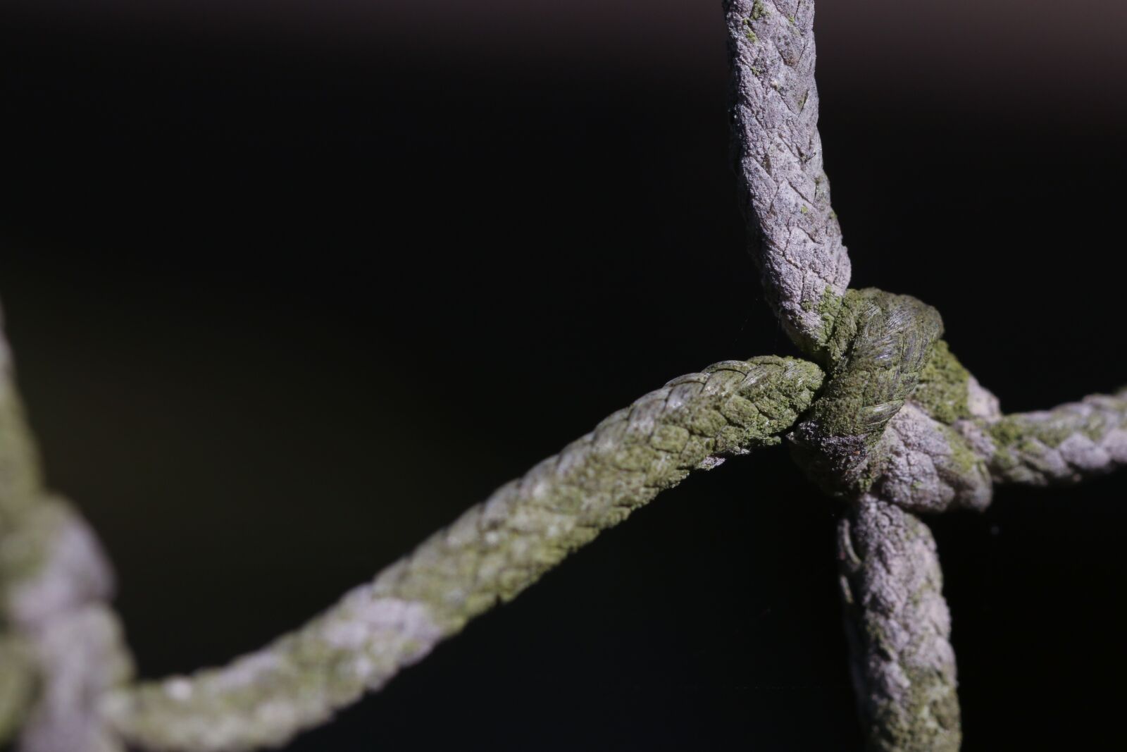 Canon EOS 7D Mark II sample photo. Rope, knot, detail photography