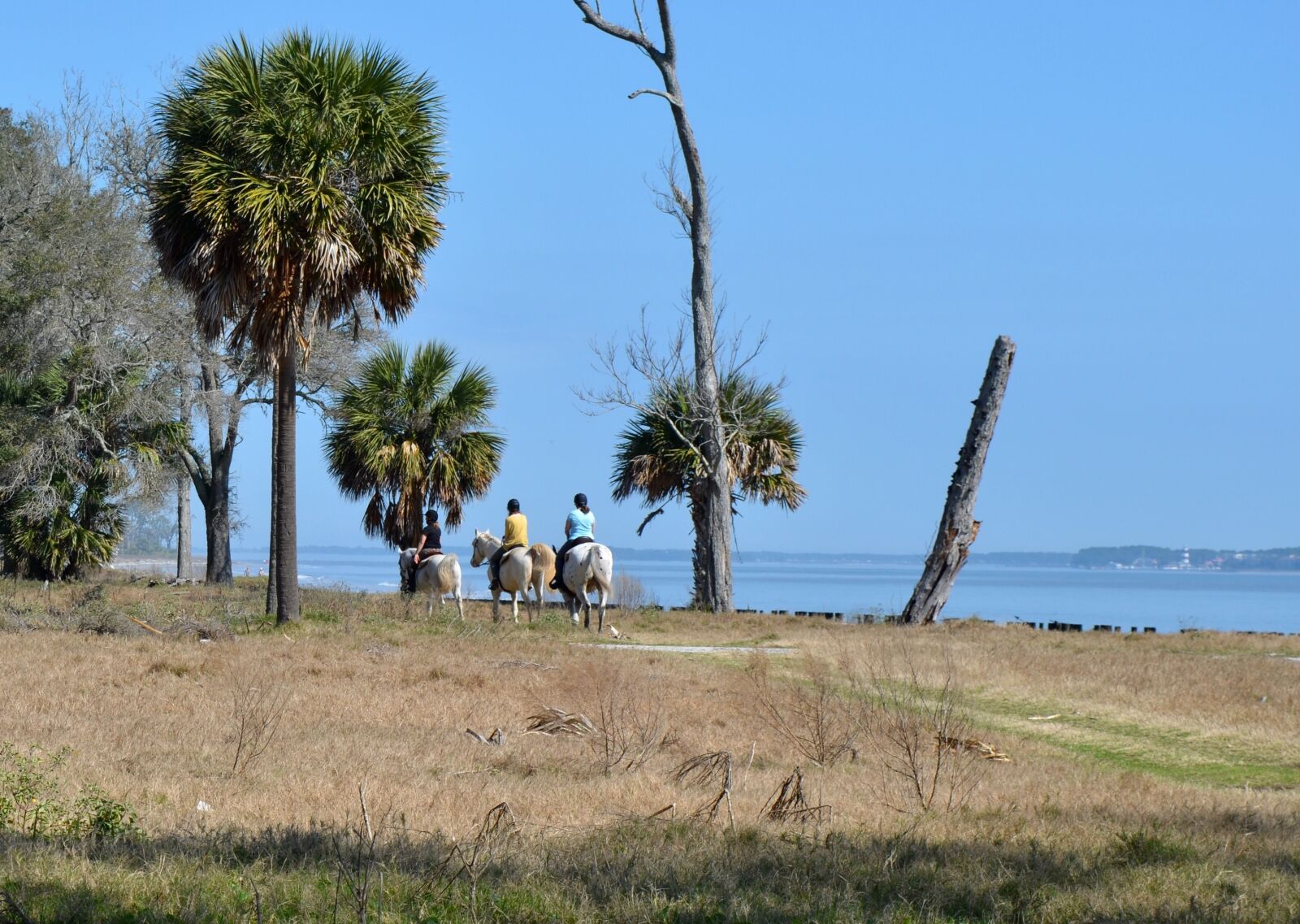 Nikon D7000 sample photo. Beach, horseback, equestrian photography