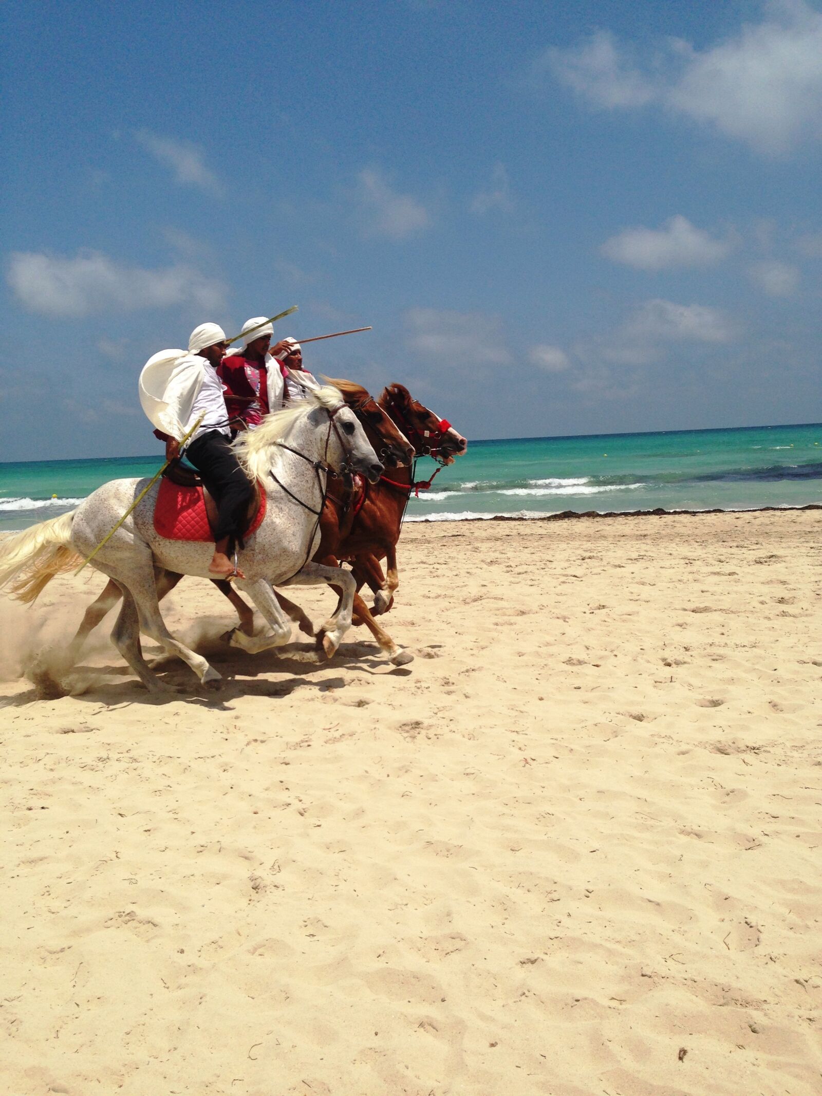 iPhone 5 back camera 4.12mm f/2.4 sample photo. Tunisia, djerba, horses photography