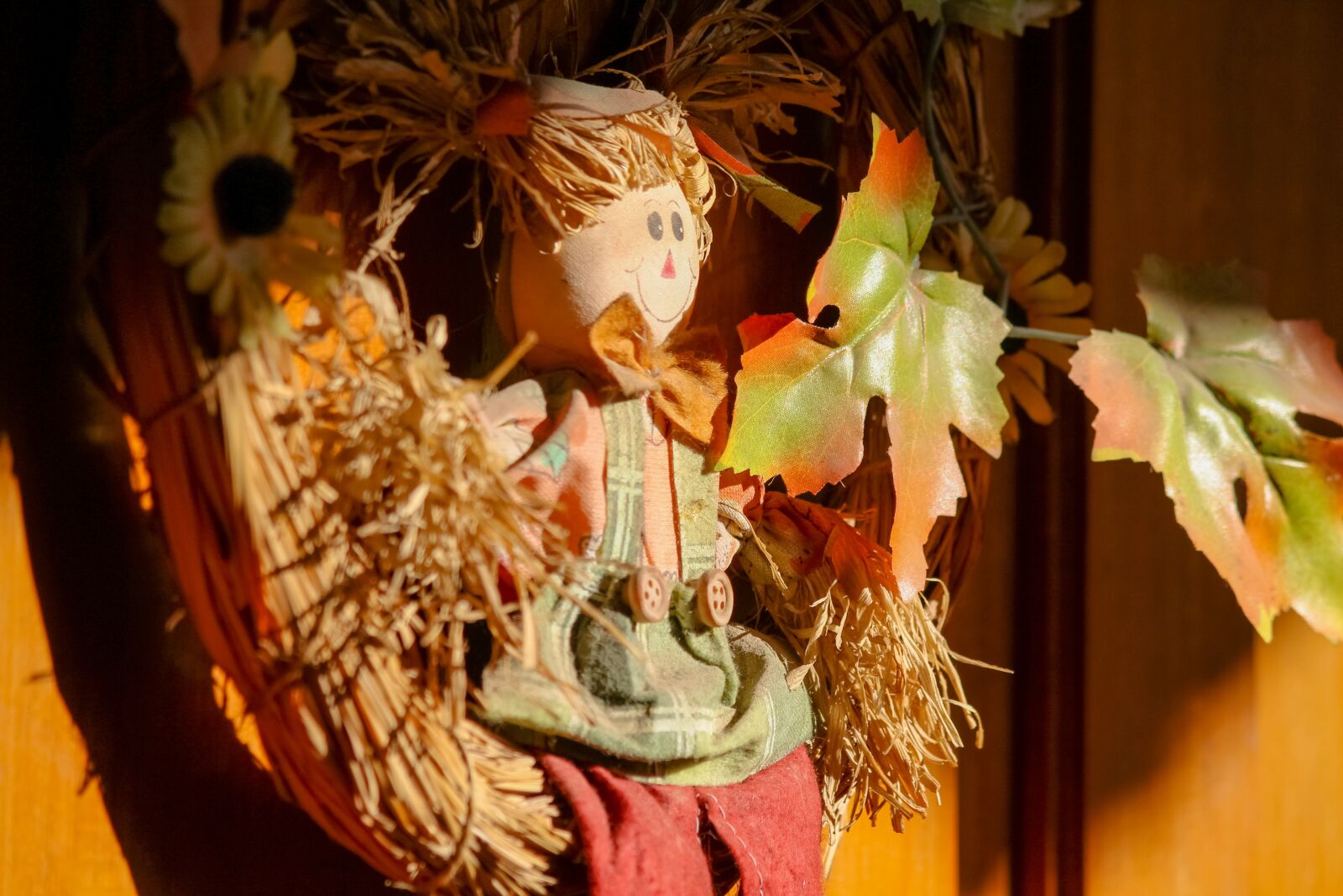 Canon EF-S 55-250mm F4-5.6 IS II sample photo. Leaves, toy, door photography