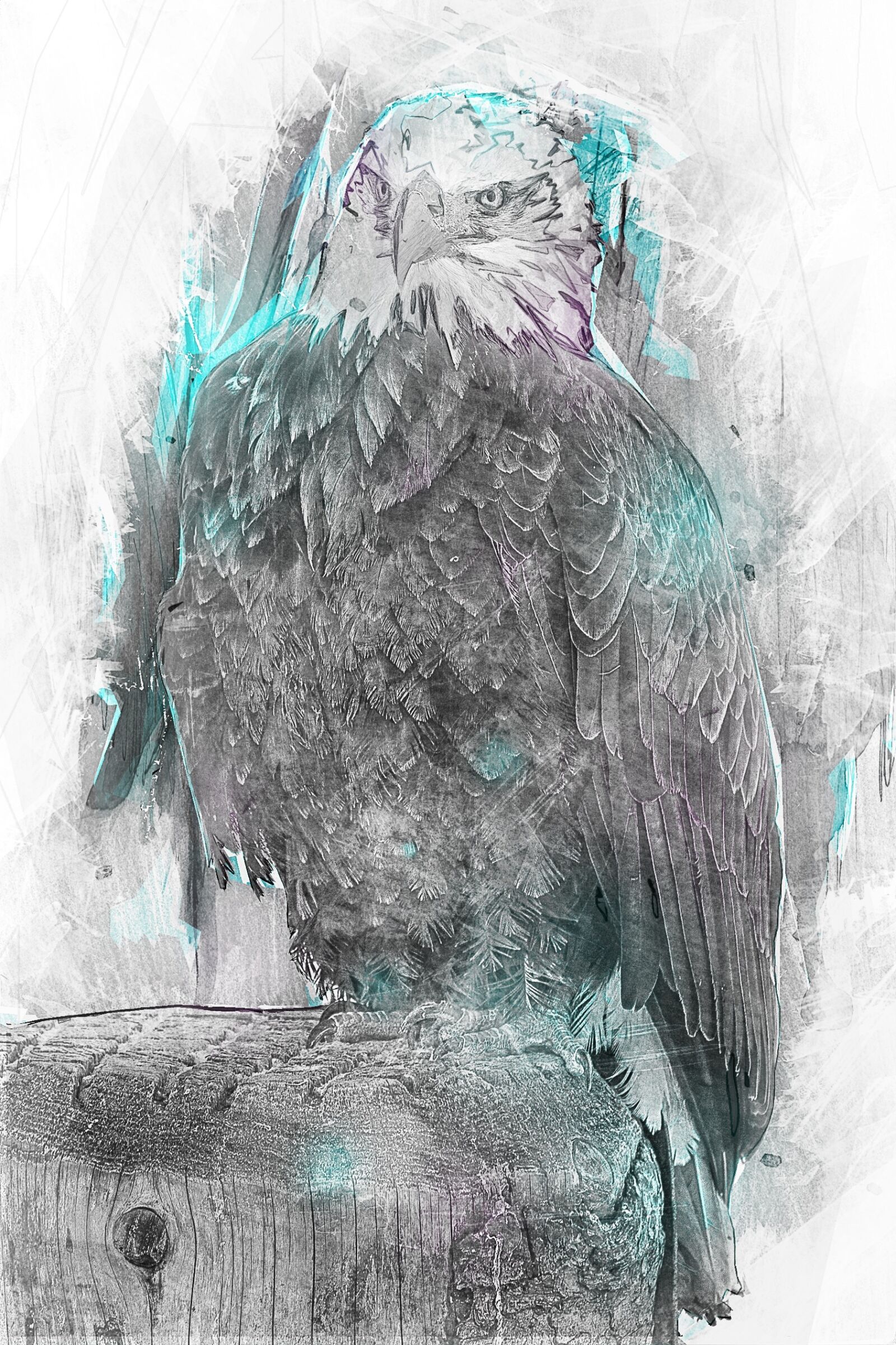 Canon EOS 5D Mark III sample photo. Bald eagle, bird of photography