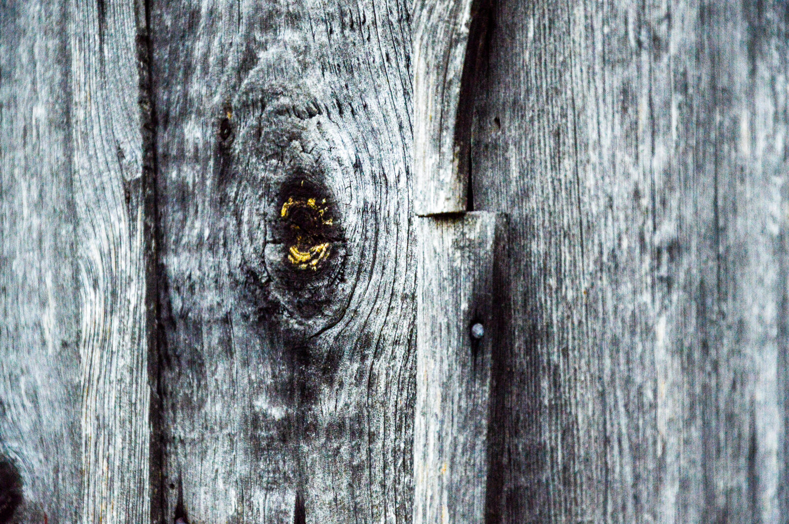 Nikon D3200 sample photo