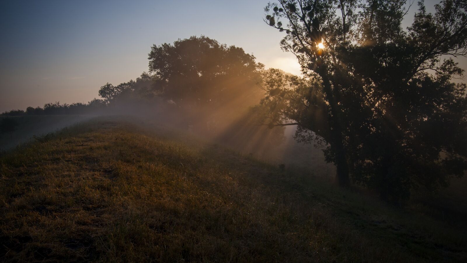Nikon D700 sample photo. Spring, spring landscape, fog photography