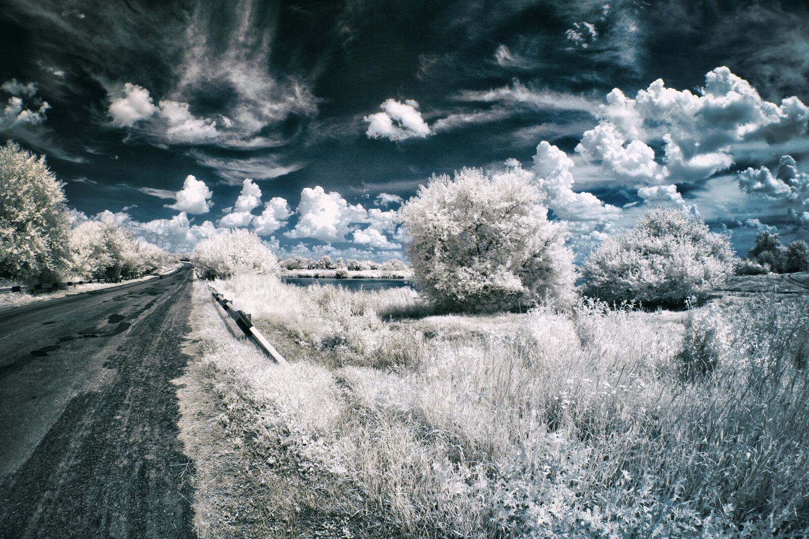 Nikon D60 sample photo. Ir, infrared, landscape photography