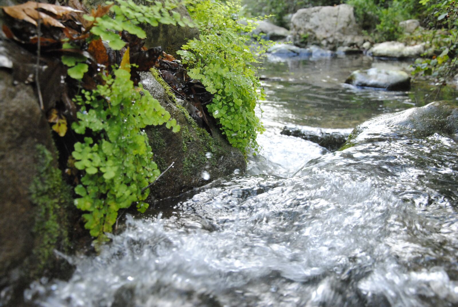Nikon D3000 sample photo. Galilee, water, mountain photography