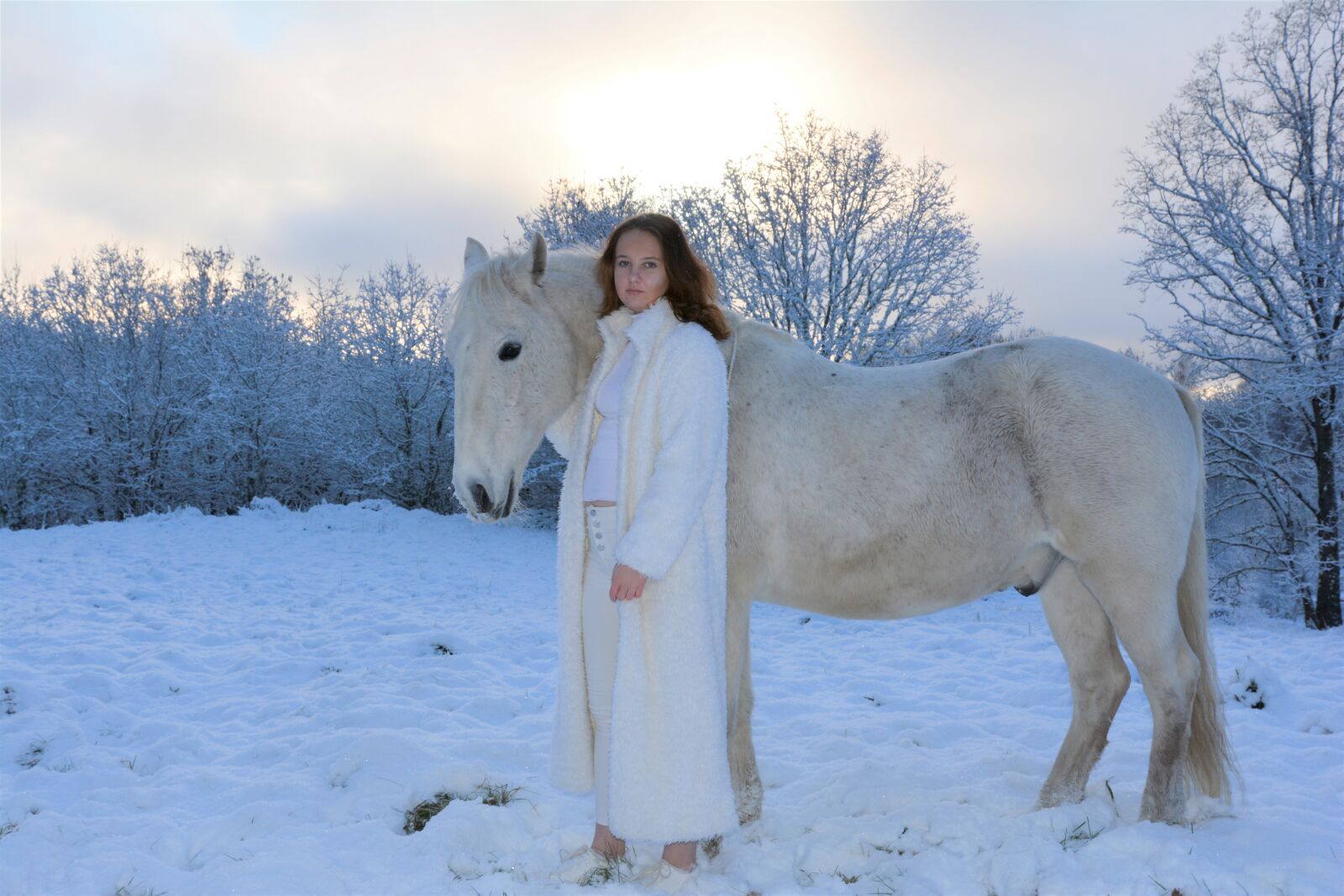 Nikon D7100 sample photo. Snow, beautiful, horse photography