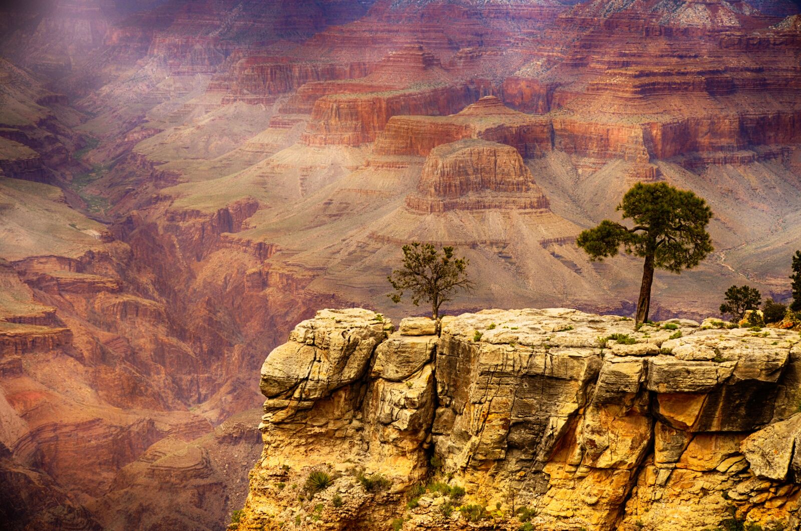 Nikon D5100 sample photo. Grand canyon, united states photography