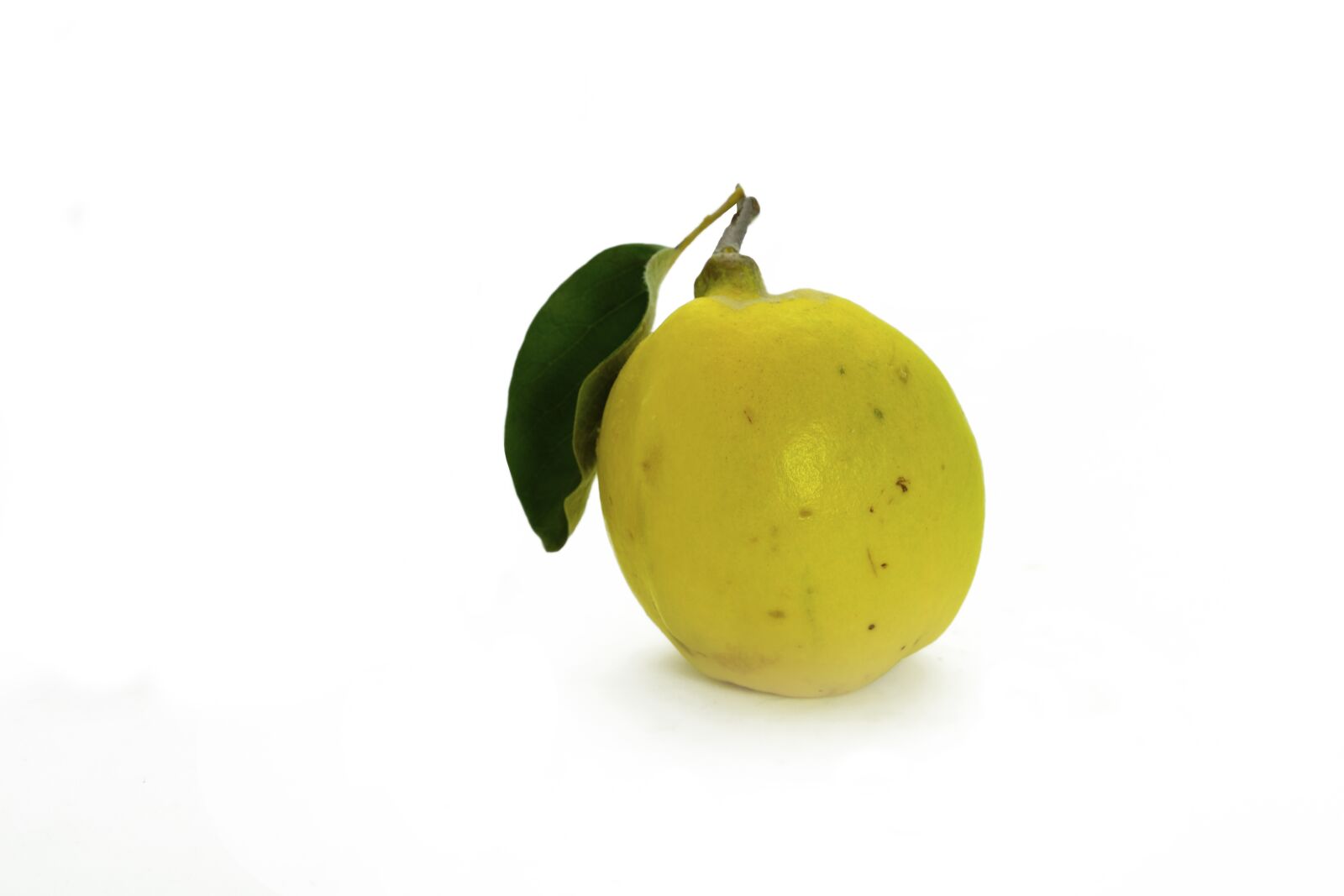 Fujifilm XF 18-55mm F2.8-4 R LM OIS sample photo. Quince, fruit, pome fruit photography