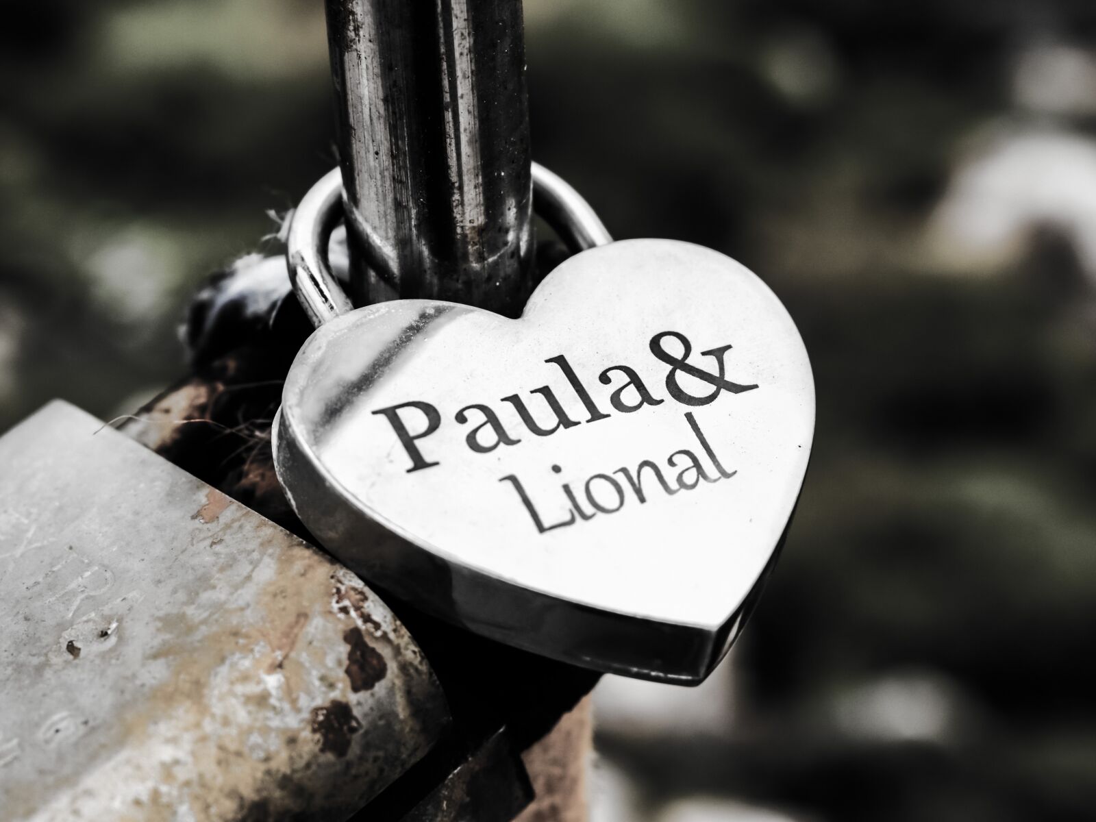 Nikon D3300 sample photo. Love, padlock, lover's bridge photography