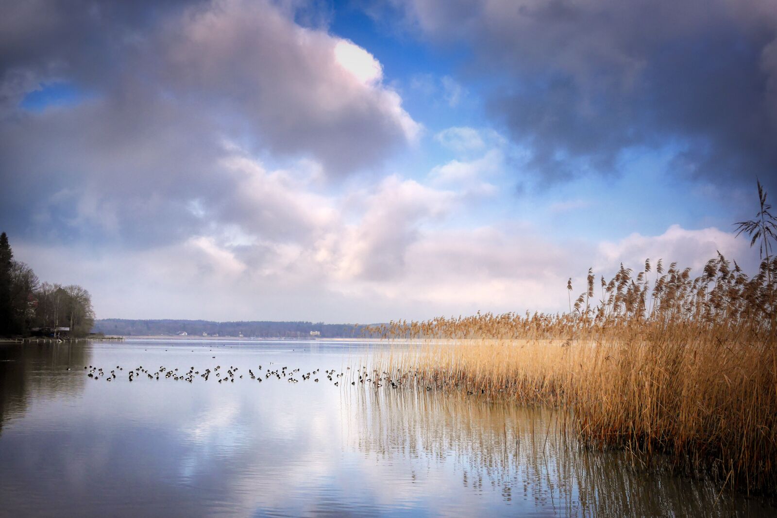 Panasonic Lumix DMC-GX7 sample photo. Clouds, lake, reed photography