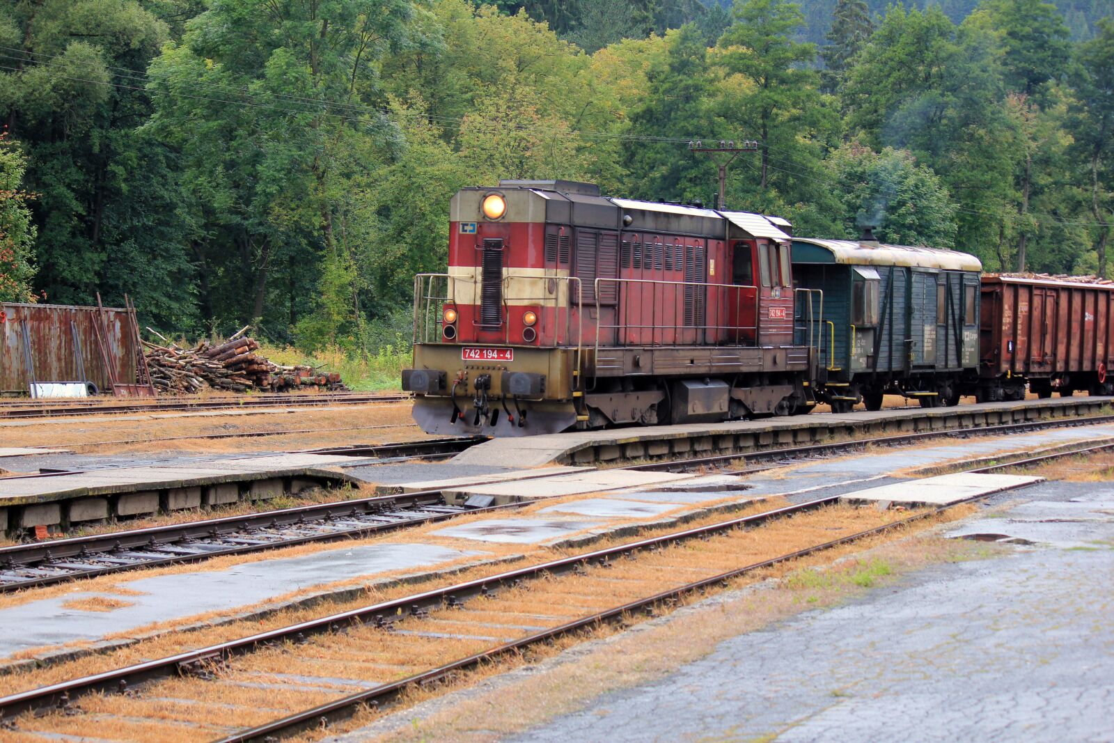 Canon EOS 550D (EOS Rebel T2i / EOS Kiss X4) sample photo. Train, forest, station photography