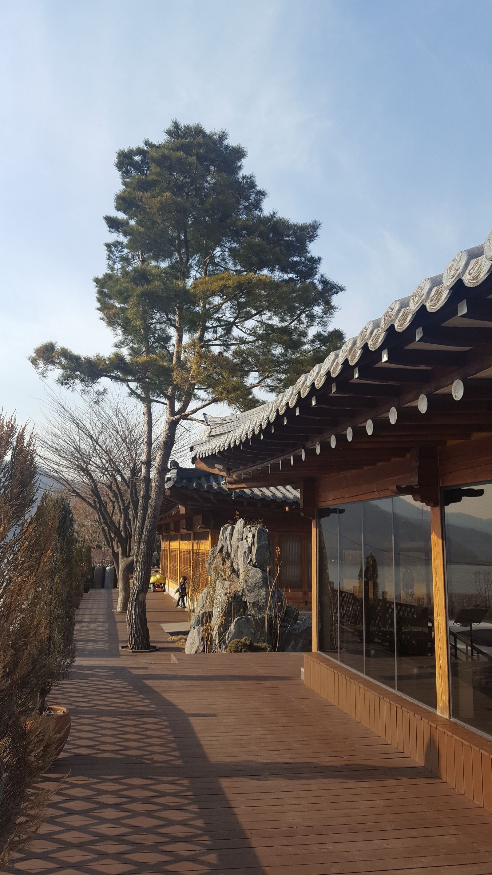Samsung Galaxy S6 sample photo. Yangzhou only palace, pine photography