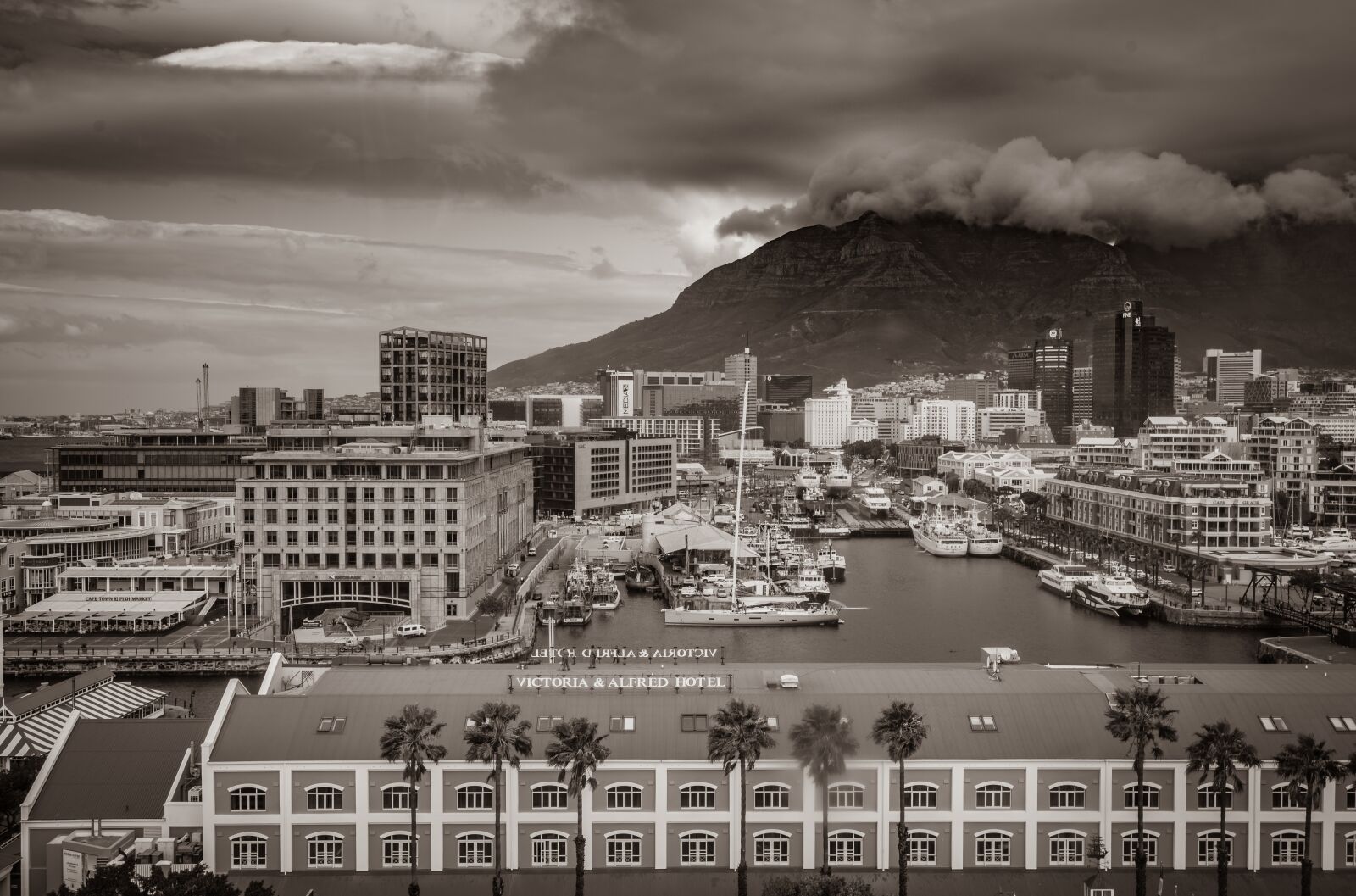 Nikon D750 sample photo. Cape town, black and photography