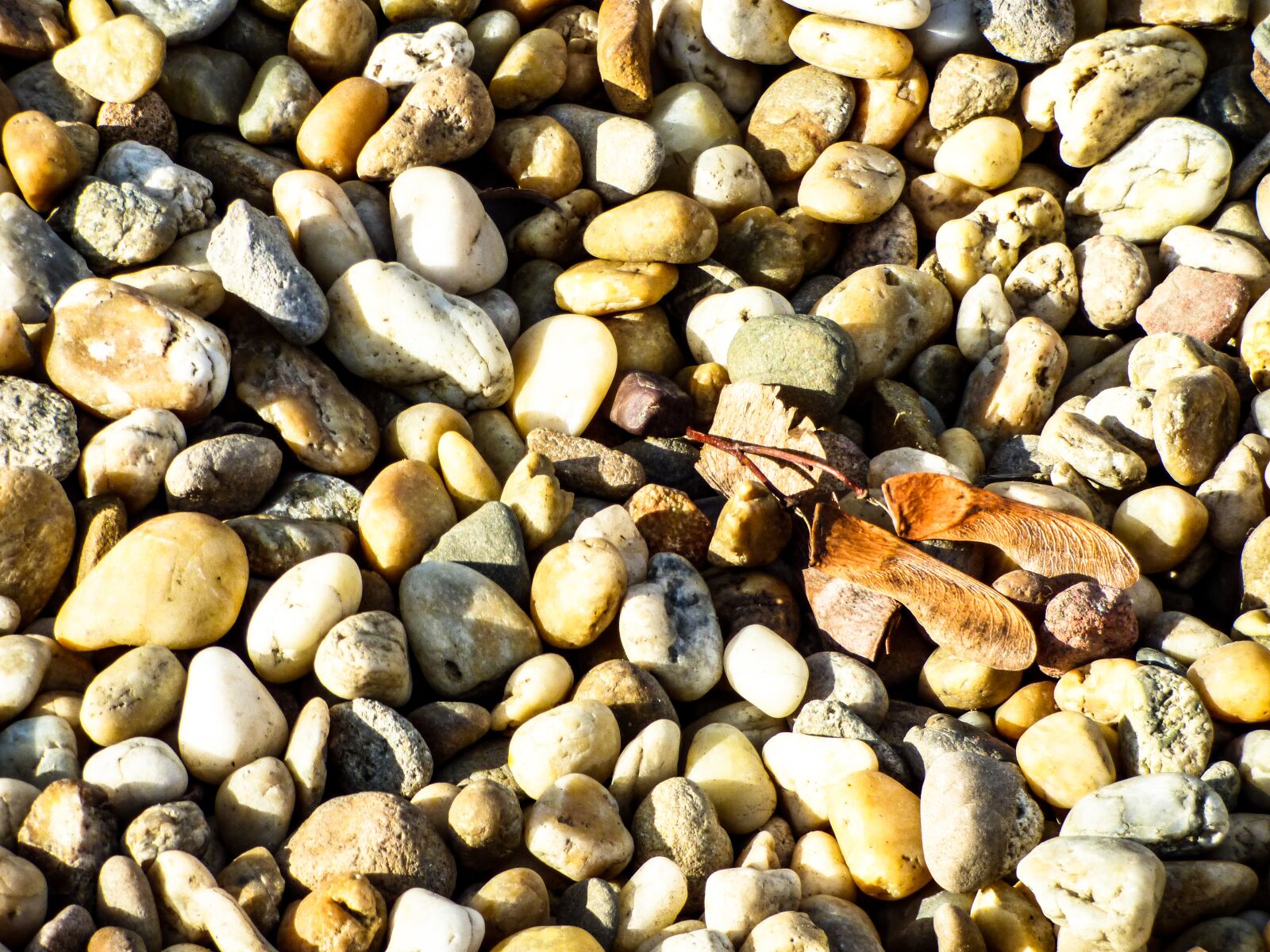Panasonic DMC-FZ72 sample photo. Background, pebbles, stone photography