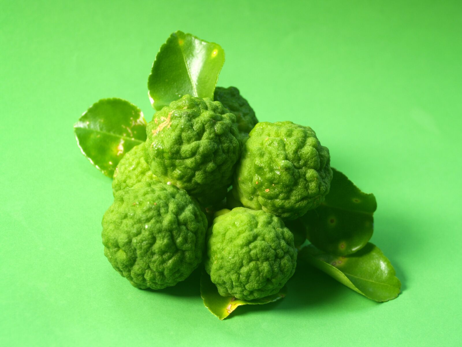 Olympus E-300 (EVOLT E-300) sample photo. Bergamot, fruit, leaf photography