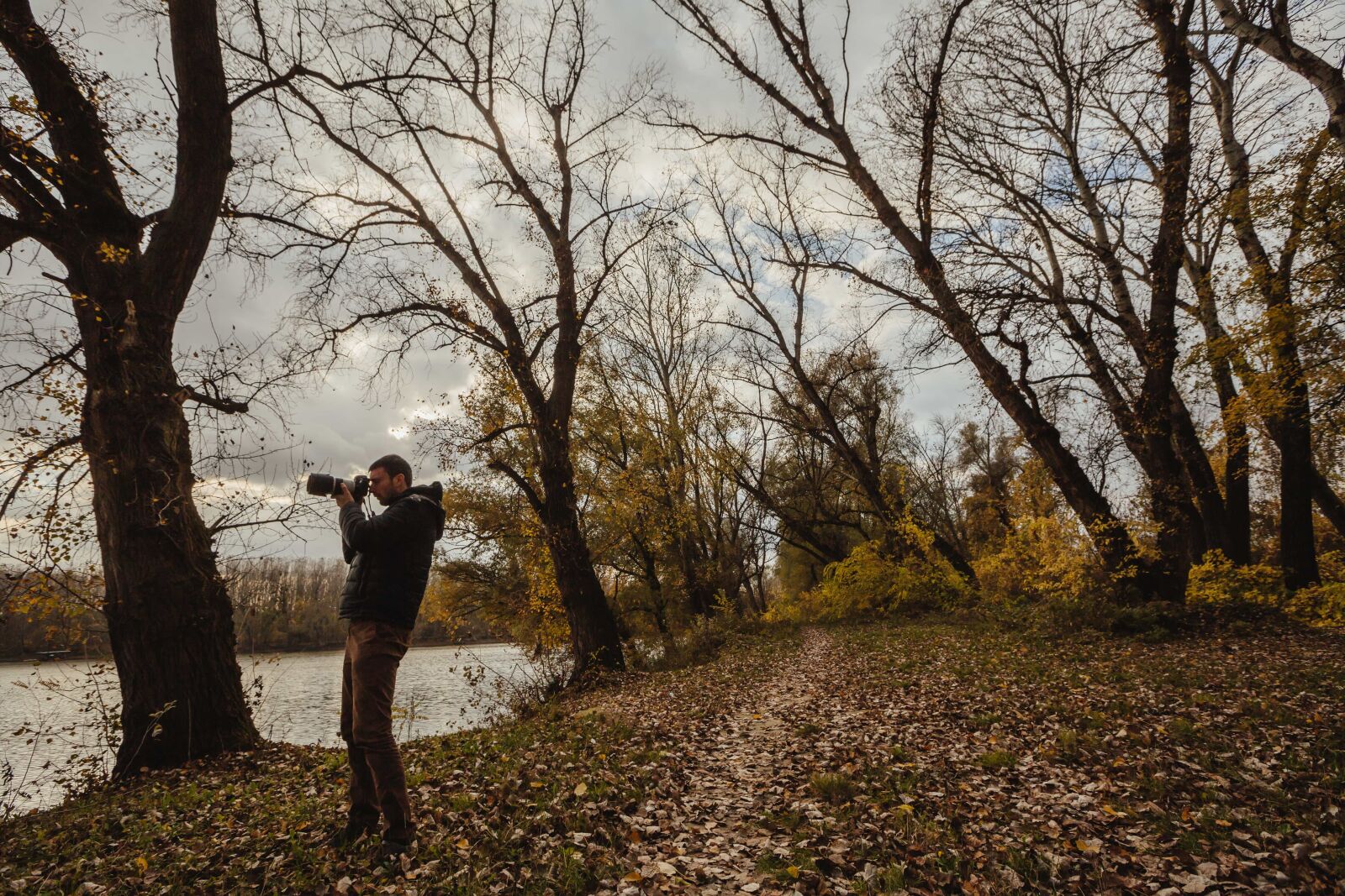 Canon EF 16-35mm F2.8L II USM sample photo. Autumn season, forest path photography