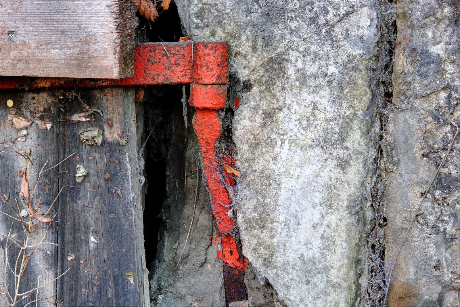 Canon EOS 550D (EOS Rebel T2i / EOS Kiss X4) sample photo. Hinge, iron, rust photography