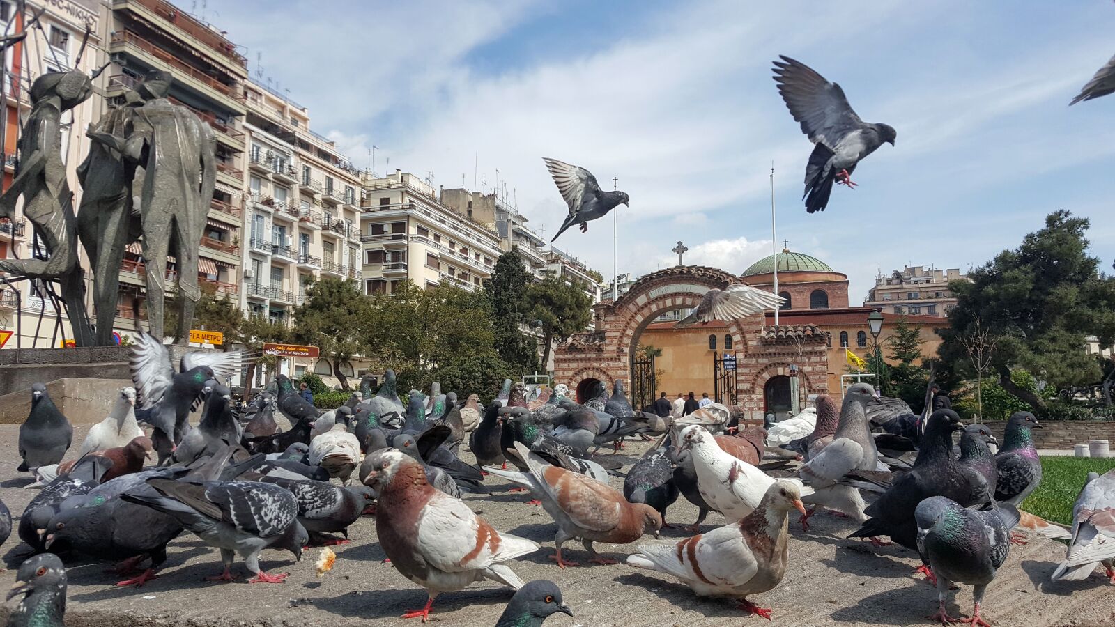 Samsung Galaxy Note5 sample photo. Pigeon, pigeons, dove photography