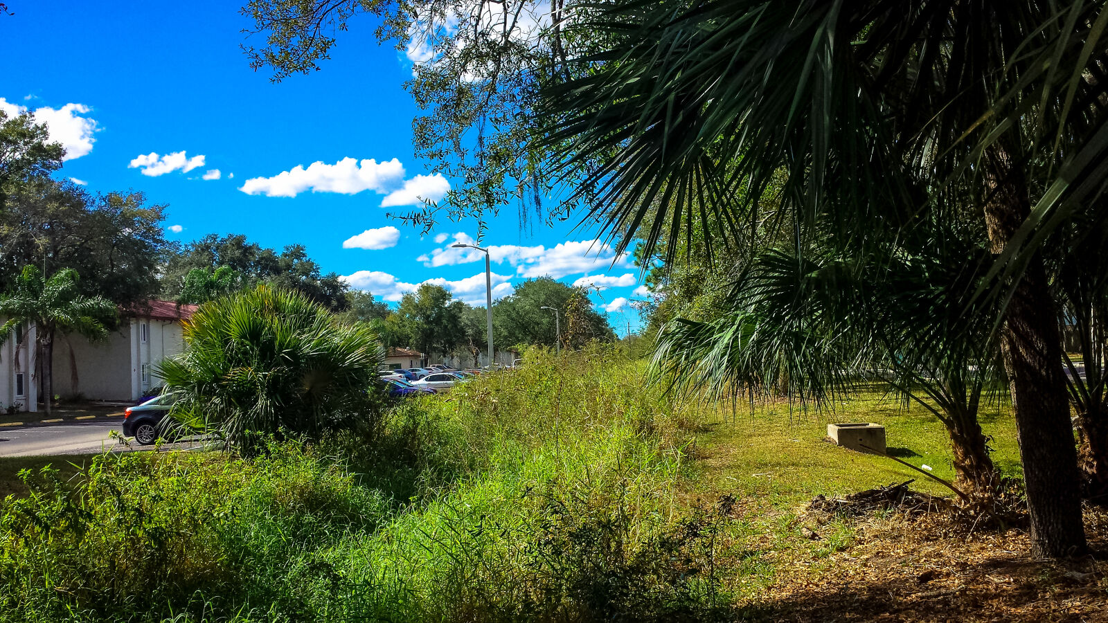 Samsung Galaxy S4 sample photo. Blade, of, grass, blue photography