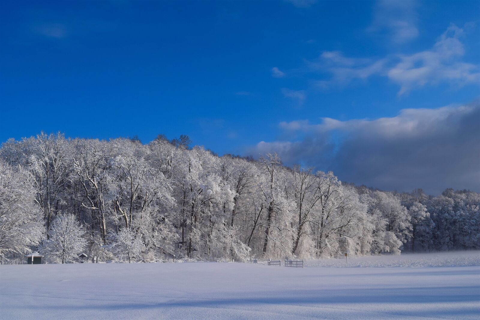 Nikon D3300 sample photo. Snow, trees, winter photography