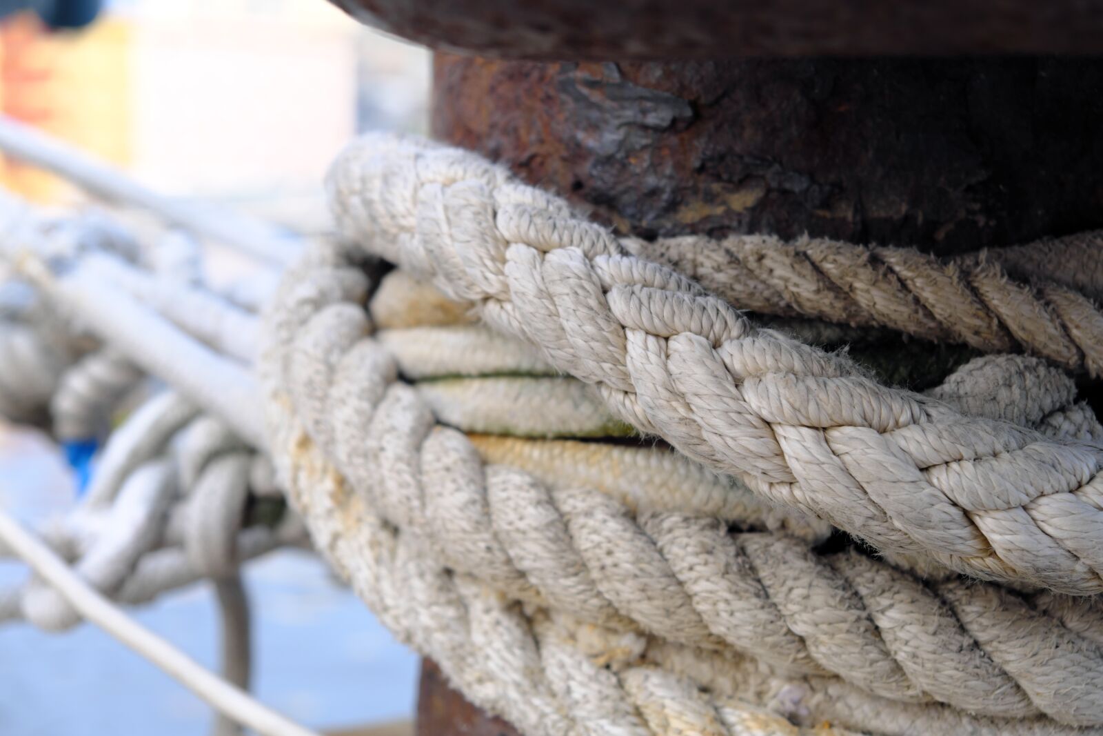 Fujifilm X-T2 sample photo. Port, dew, rope photography