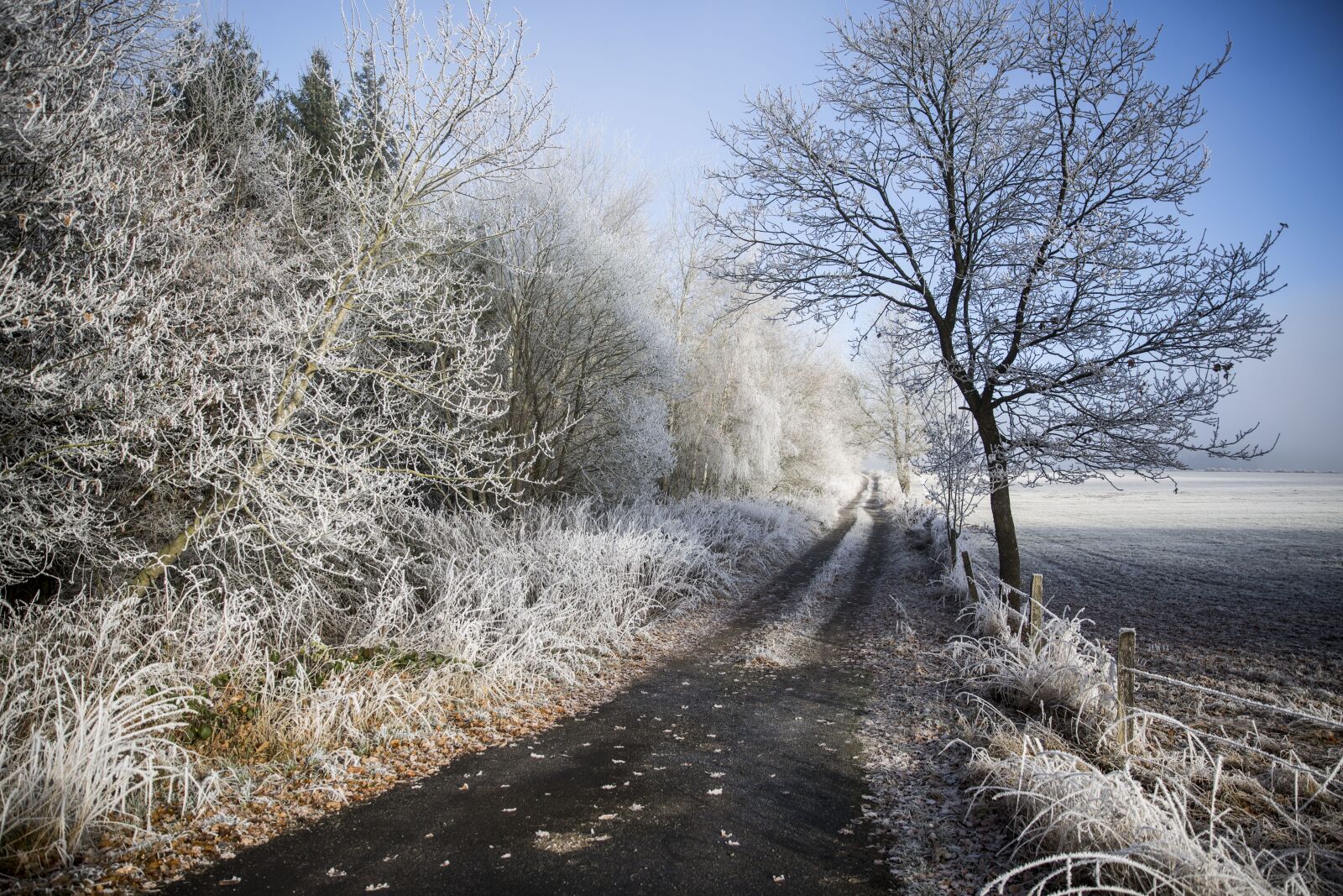 Canon EF 24-70mm F2.8L II USM sample photo. Landscape, ice, cold photography