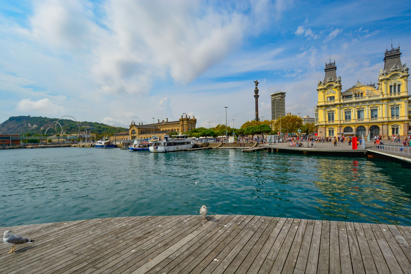 Nikon D5200 sample photo. Seagull, barcelona, mediterranean photography