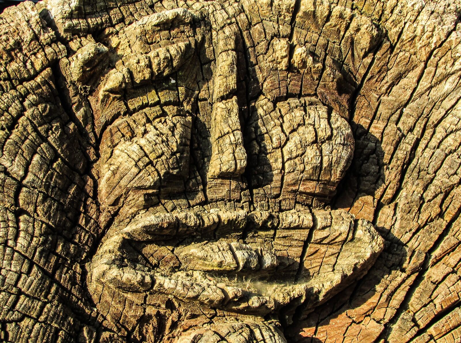 Canon PowerShot SX400 IS sample photo. Face, woodcarving, wood photography
