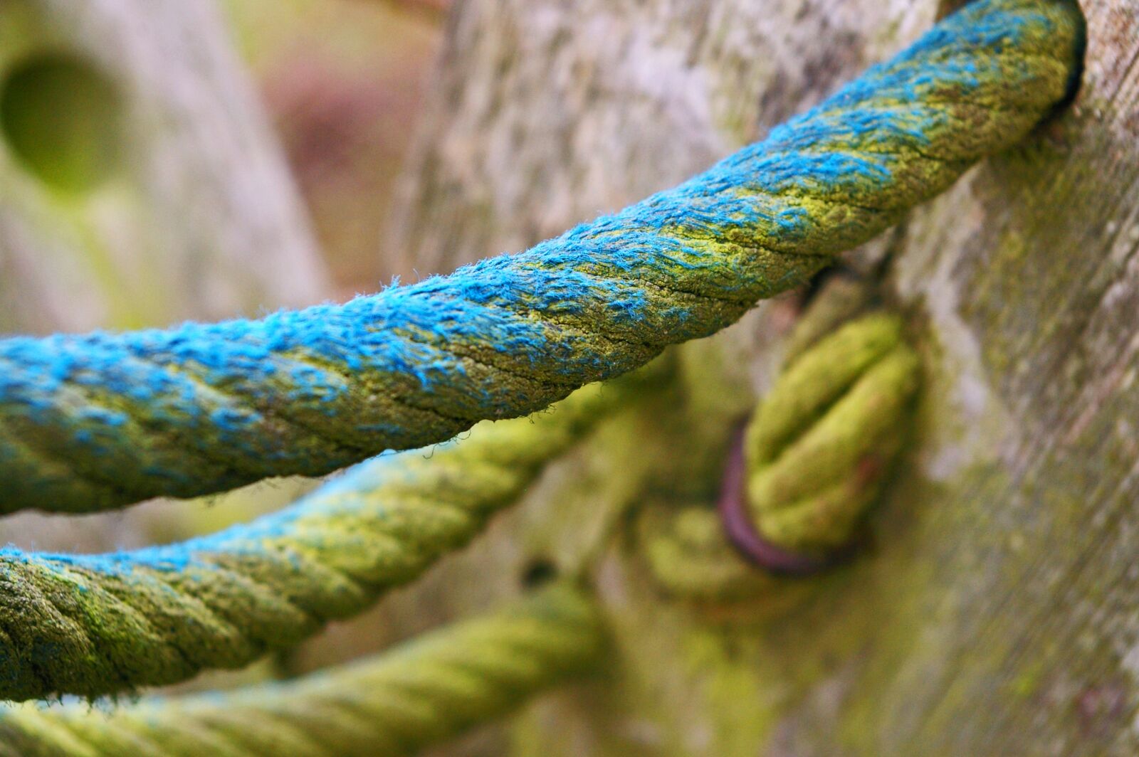 Pentax *ist DL2 sample photo. Close up, rope, kletterger photography