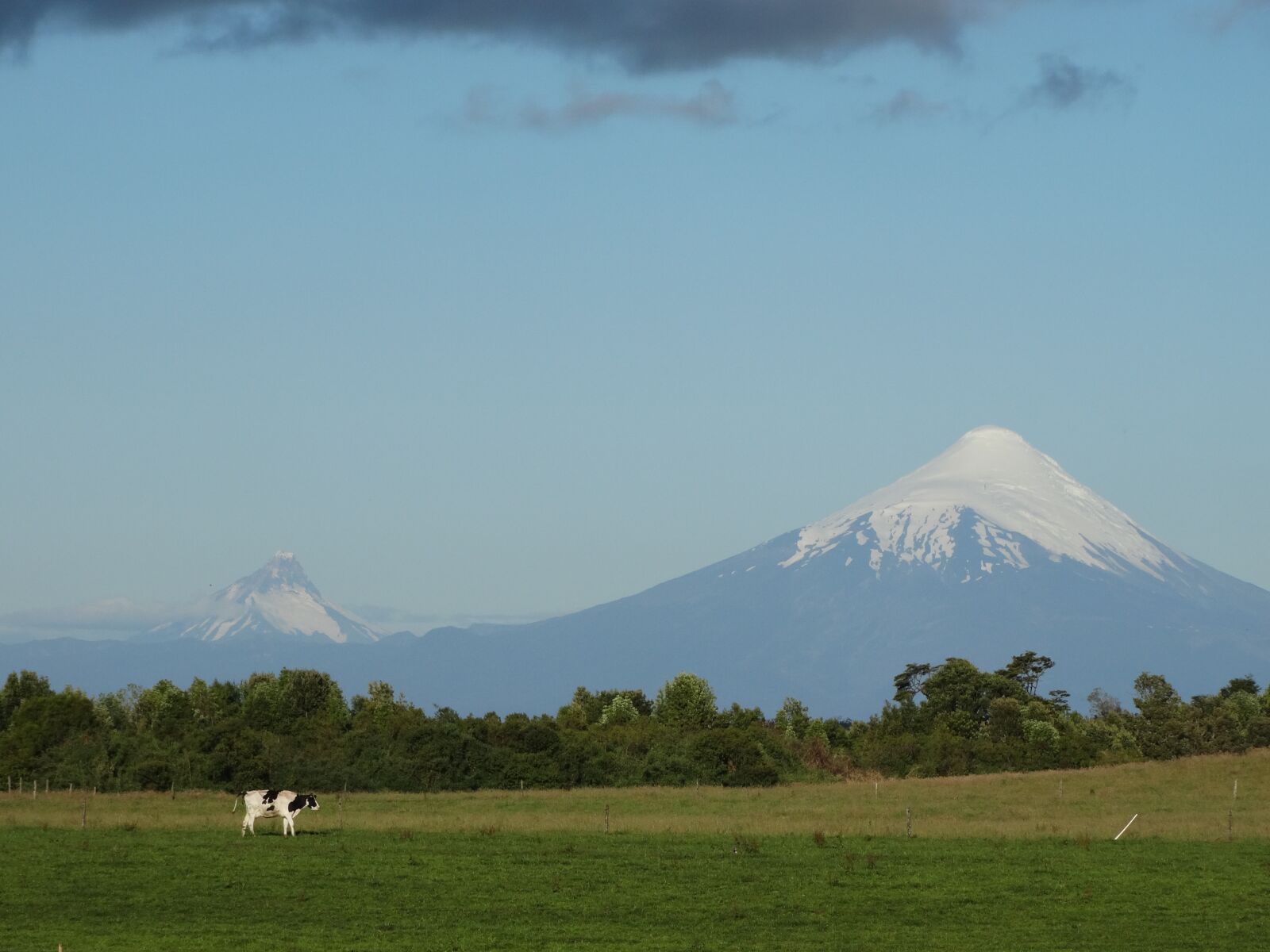 Sony Cyber-shot DSC-HX300 sample photo. Osorno volcano, cow, field photography