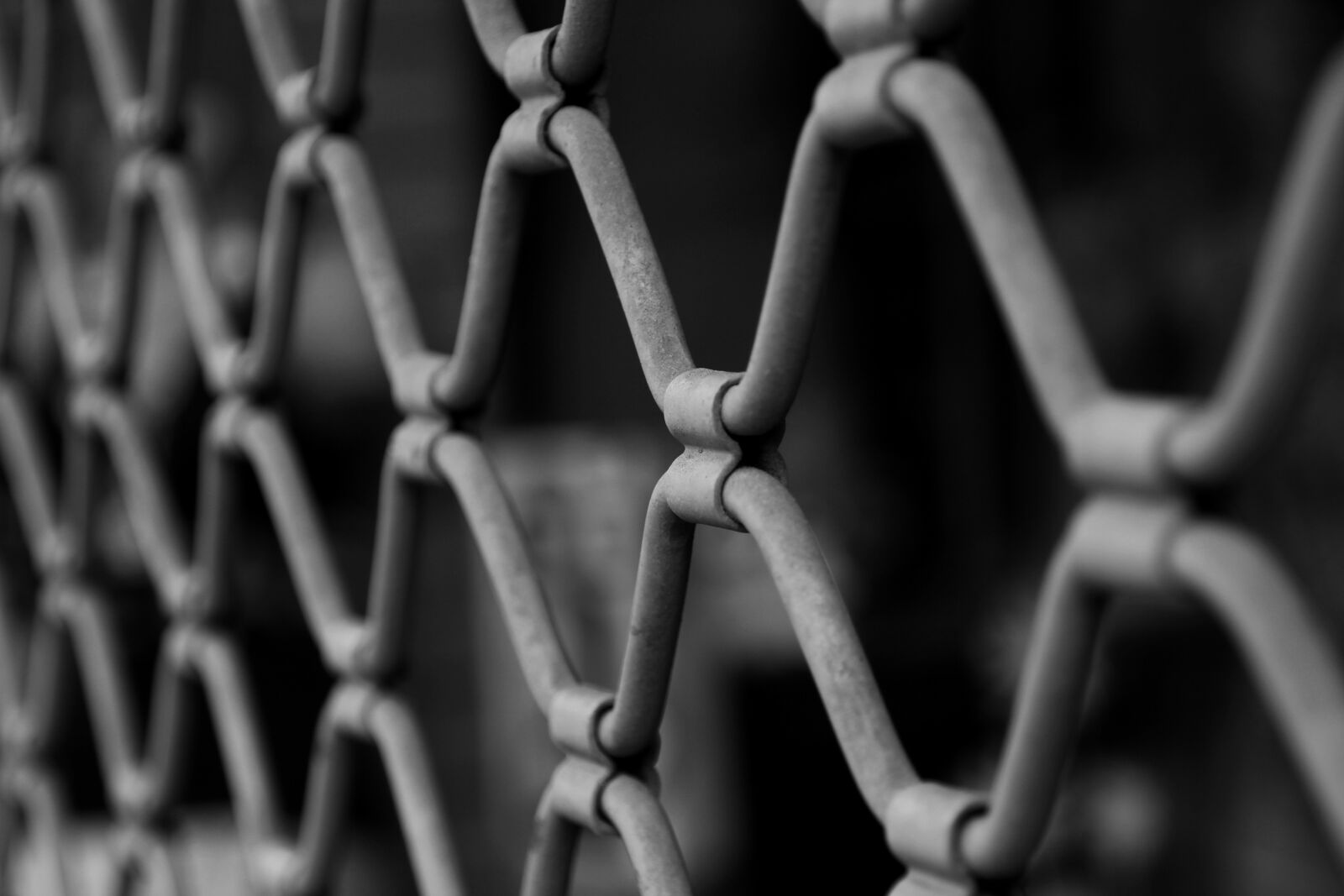 Canon EOS 60D sample photo. Grating, white, black photography