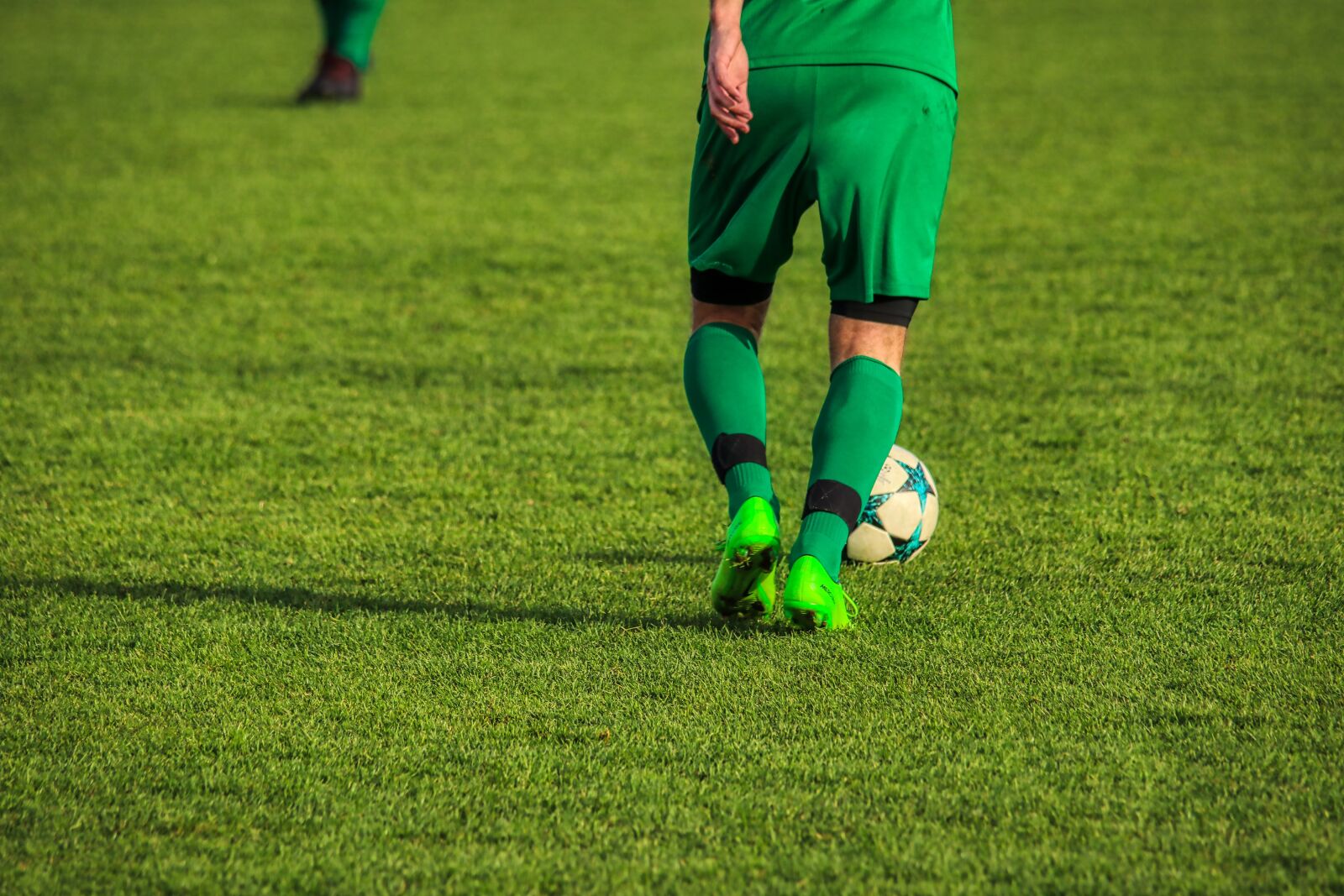 Canon EOS 80D sample photo. Players, green, football photography